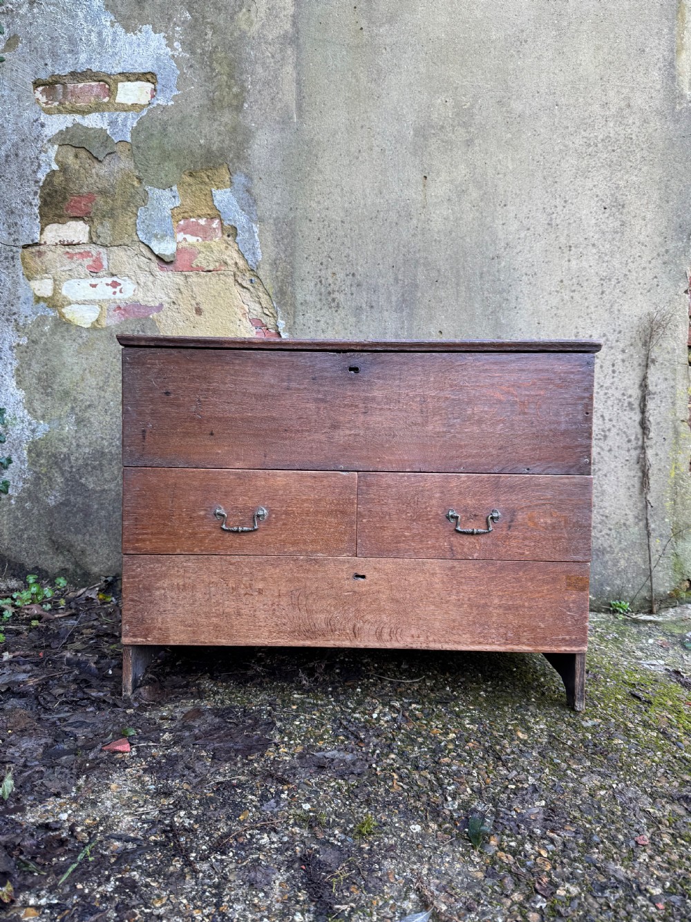 Early Oak Chest View II