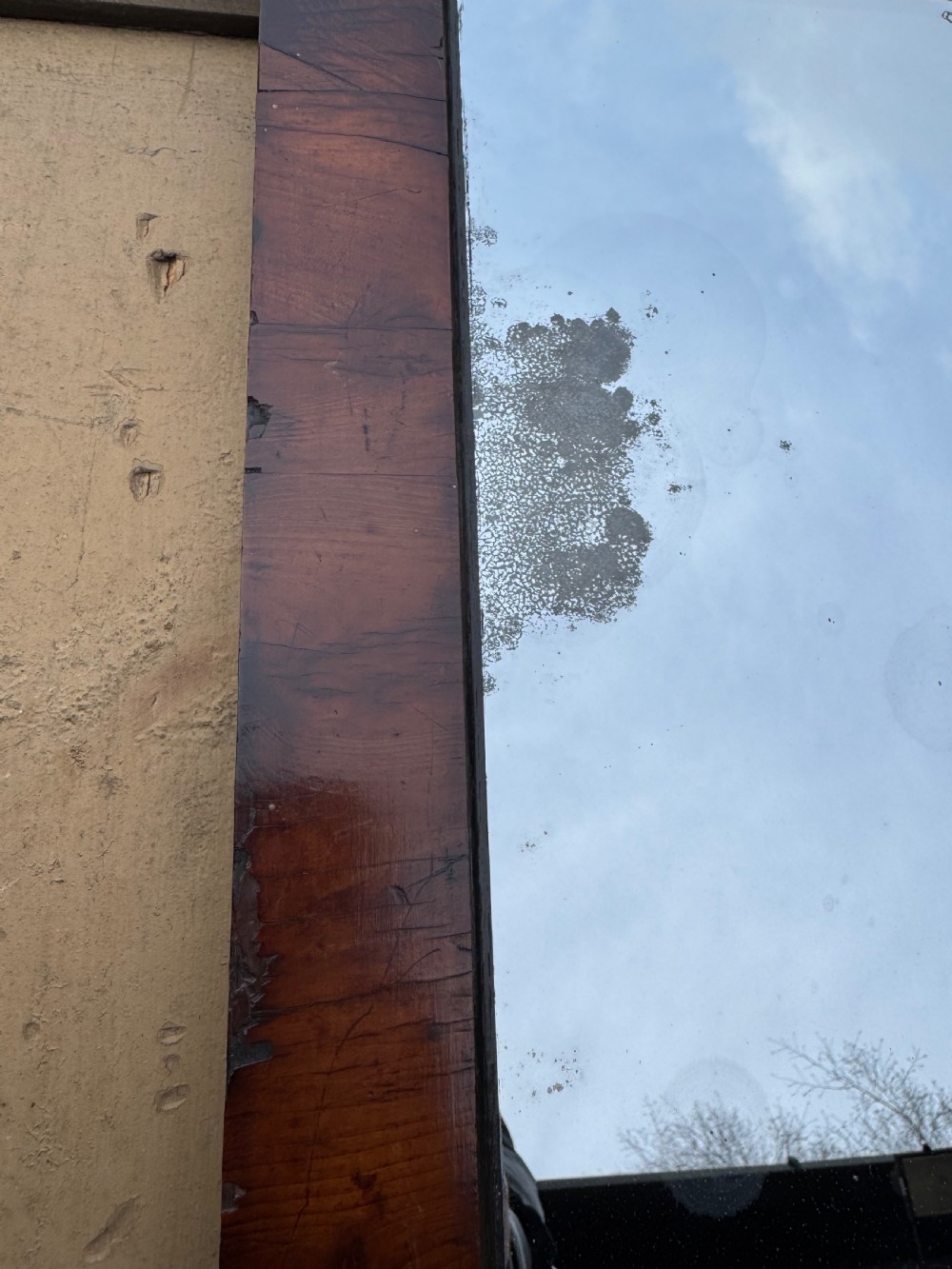 Antique Walnut Mirror  View III
