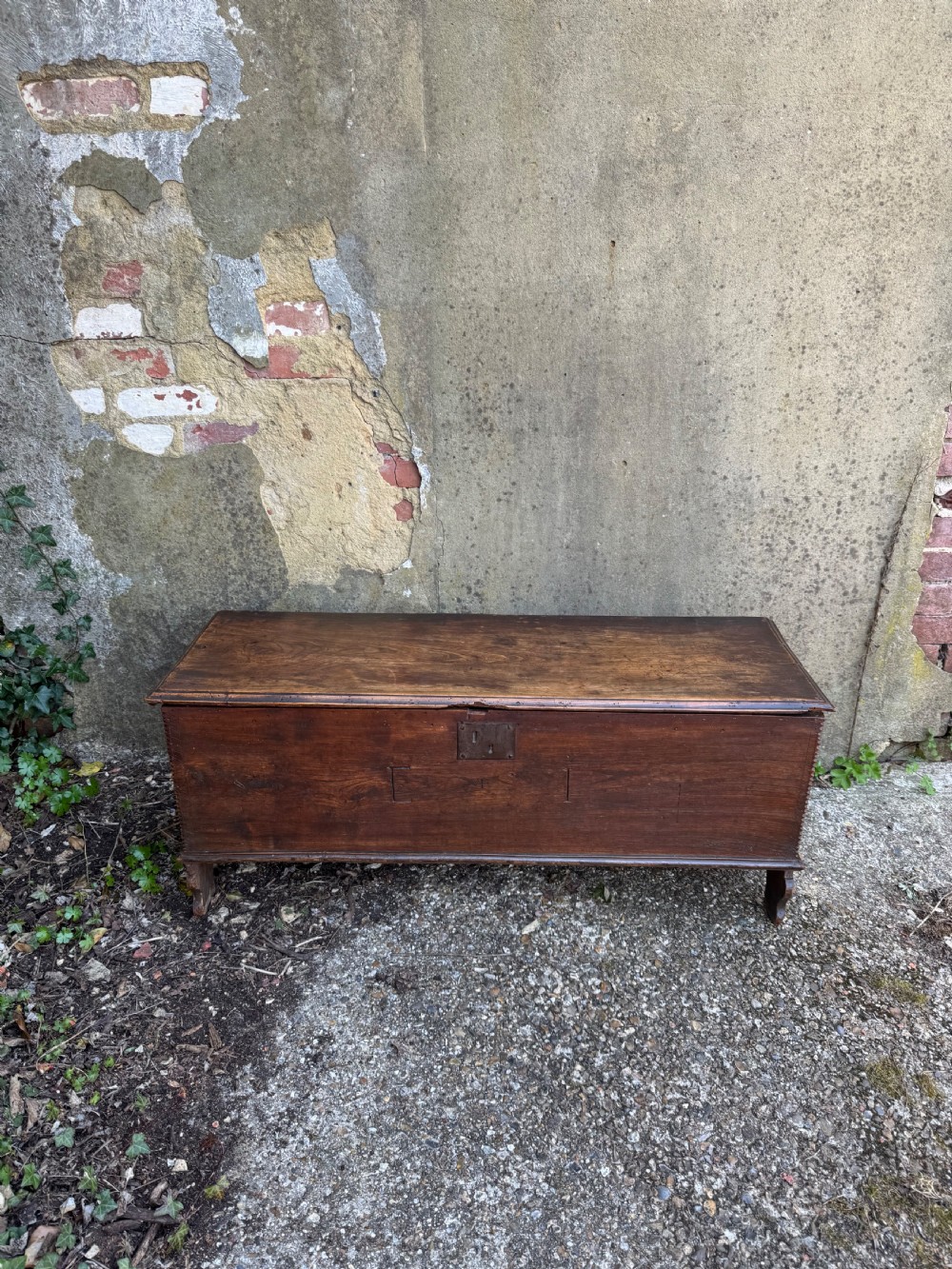 Antique Elm Plank Coffer View III