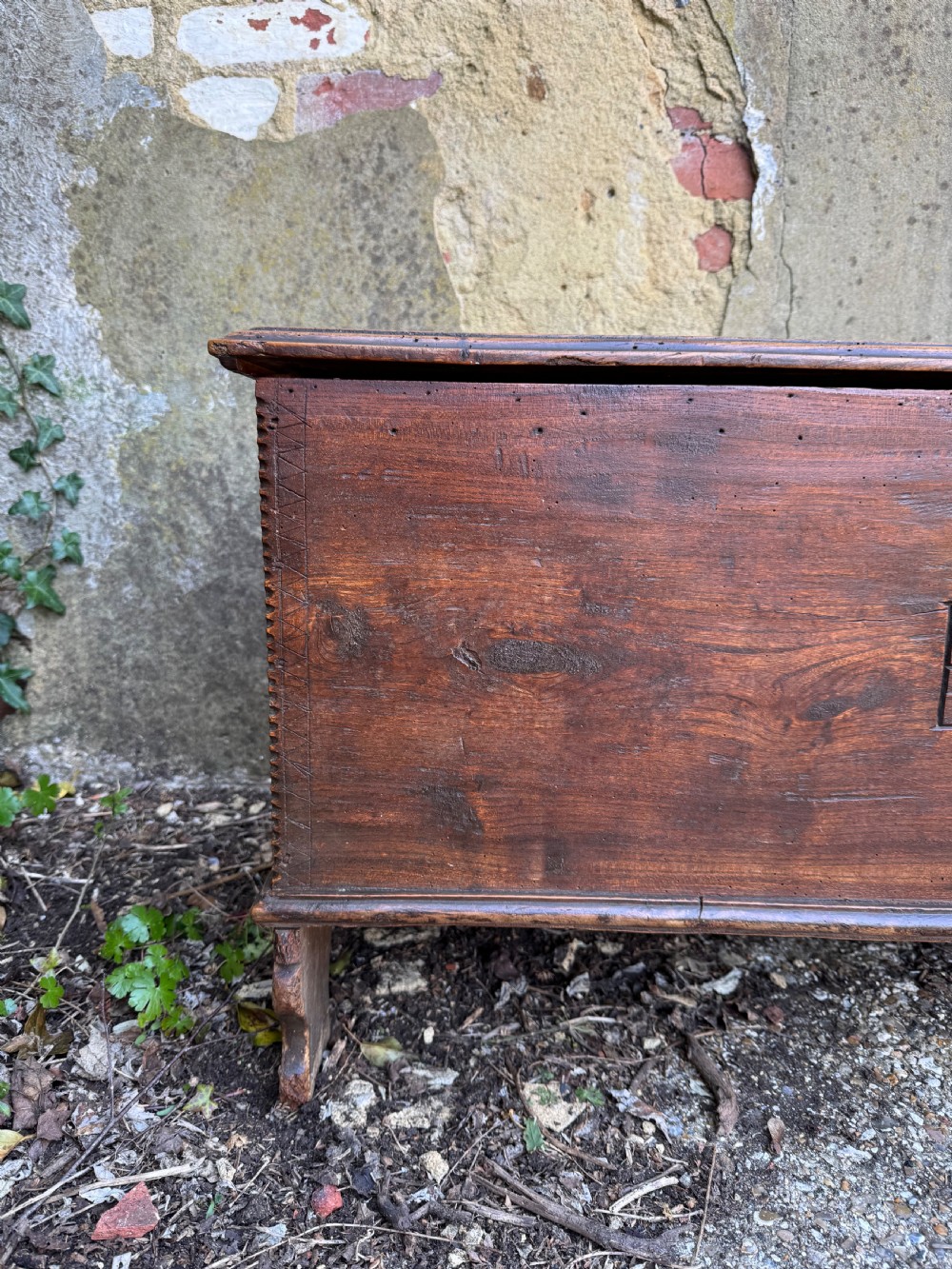 Antique Elm Plank Coffer View V
