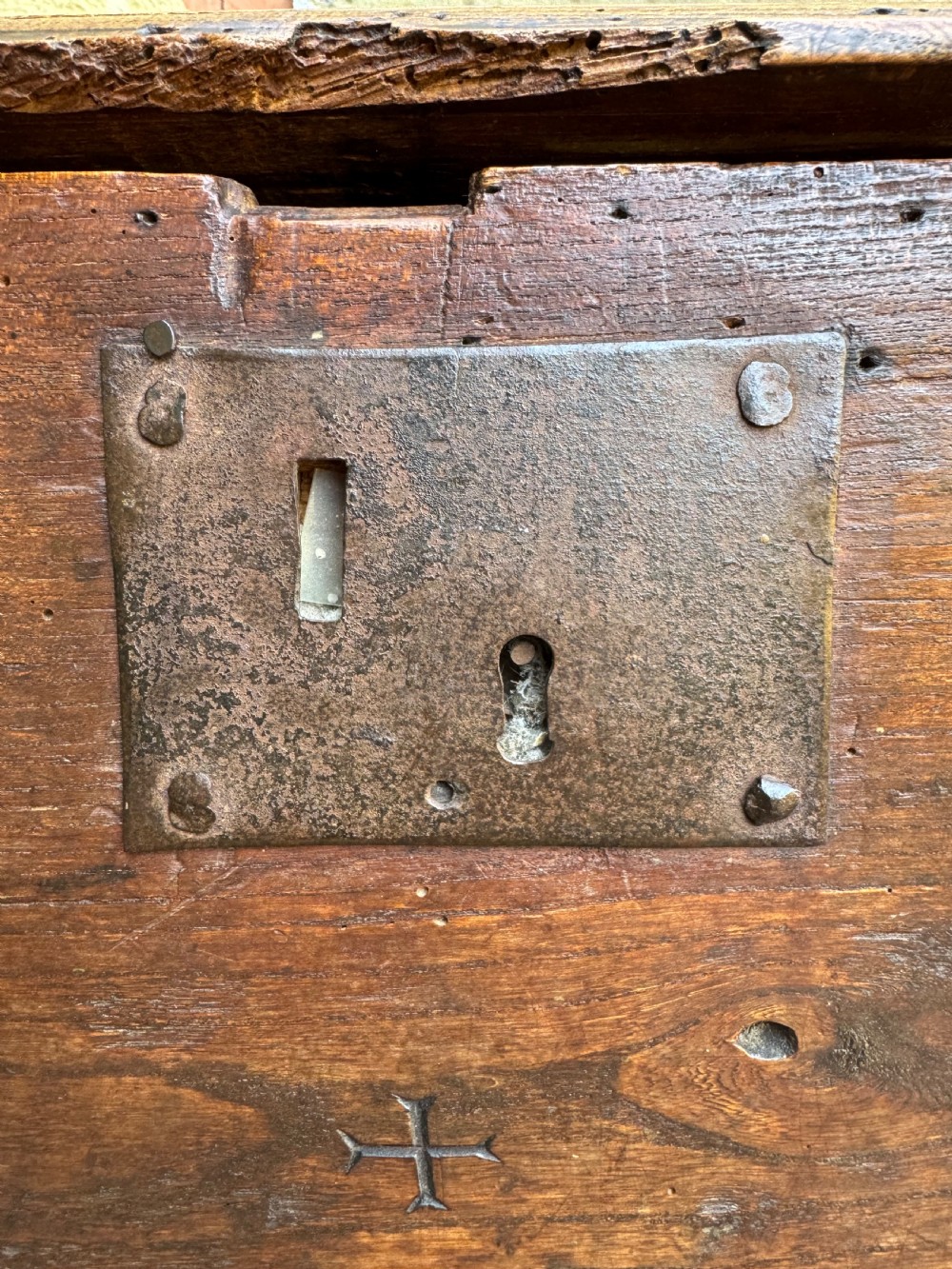 Antique Elm Plank Coffer View XI