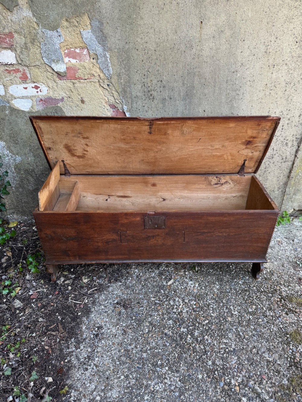 Antique Elm Plank Coffer View XVI