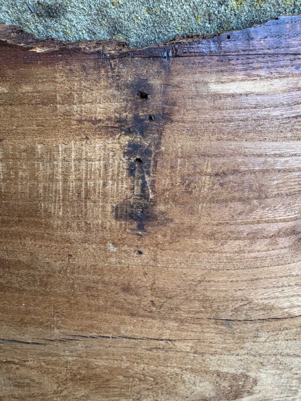 Antique Elm Plank Coffer View XIX