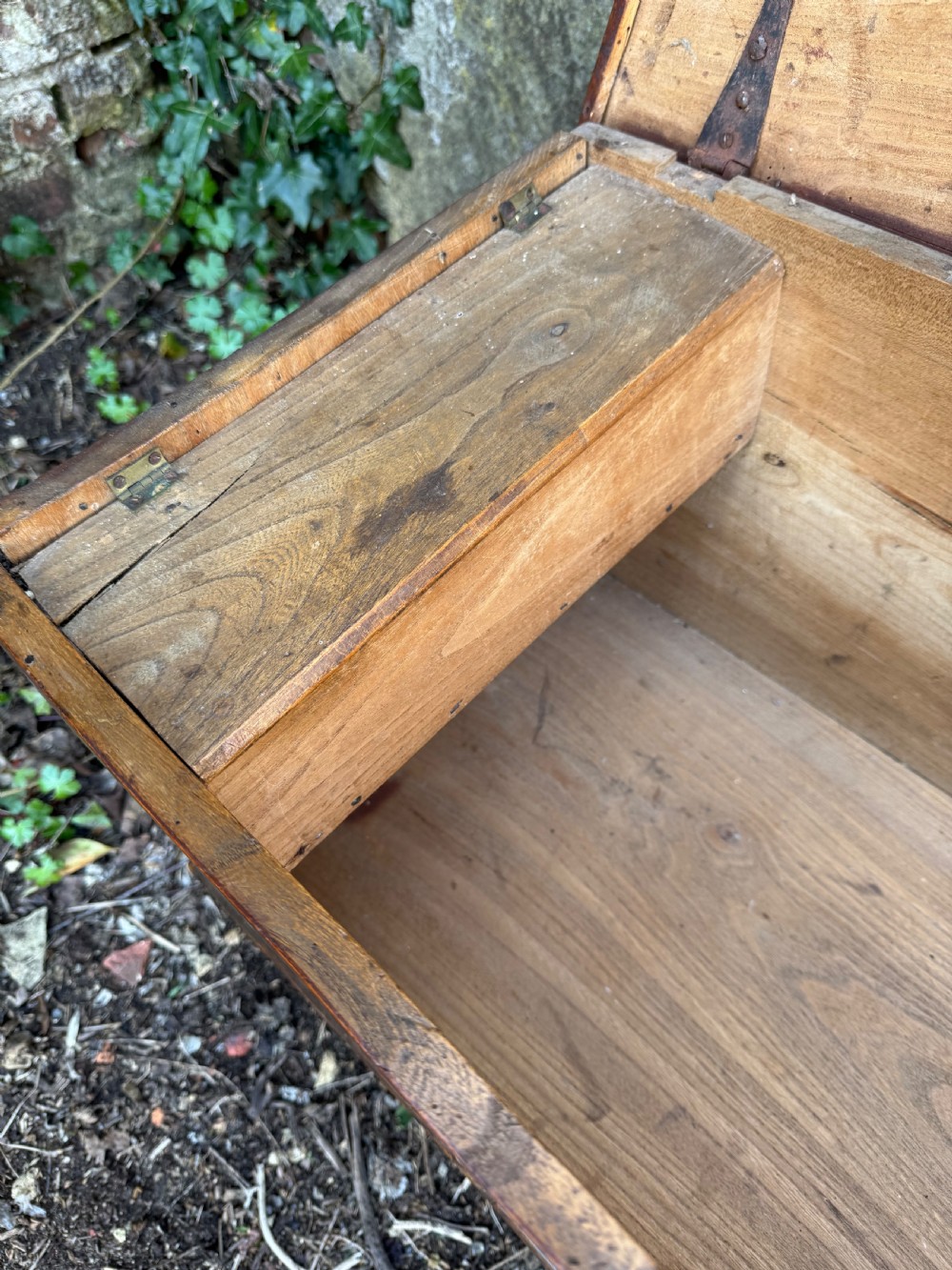 Antique Elm Plank Coffer View XX