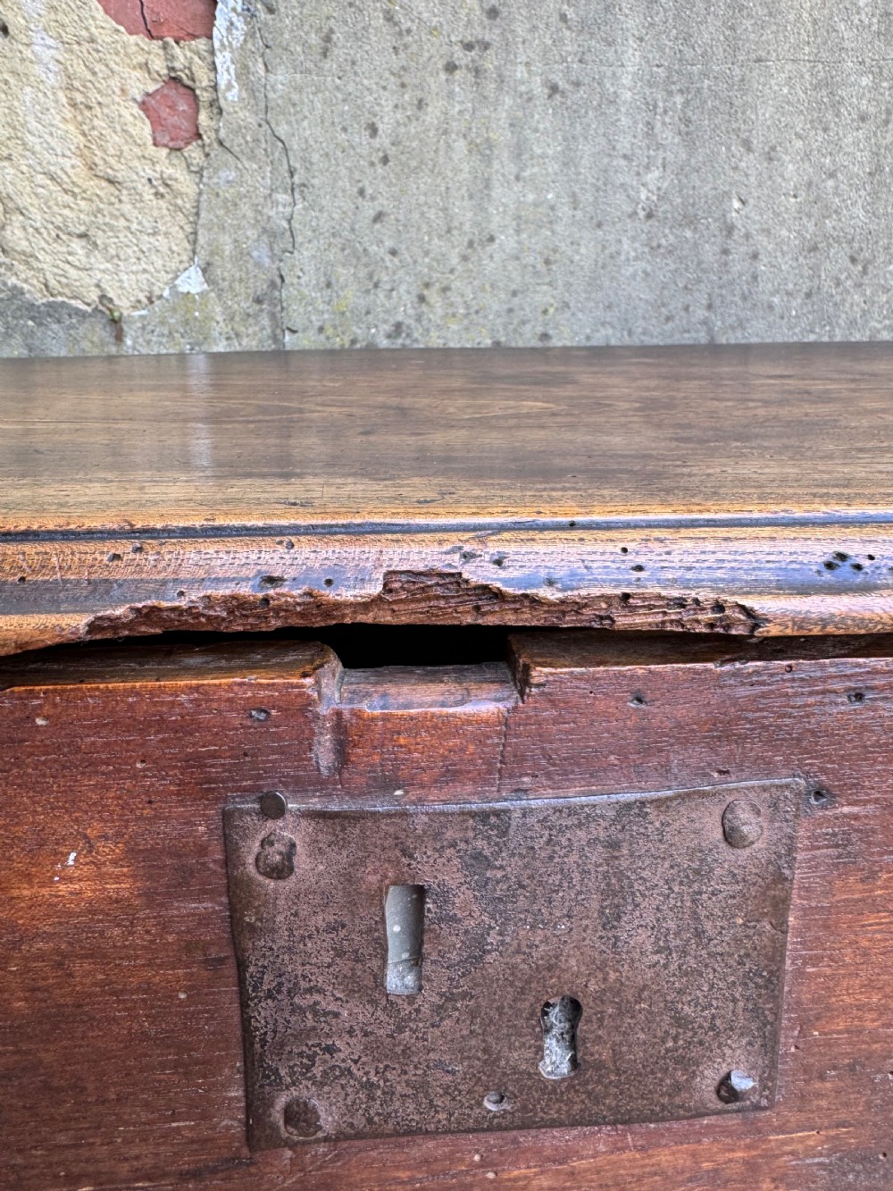 Antique Elm Plank Coffer View XXI