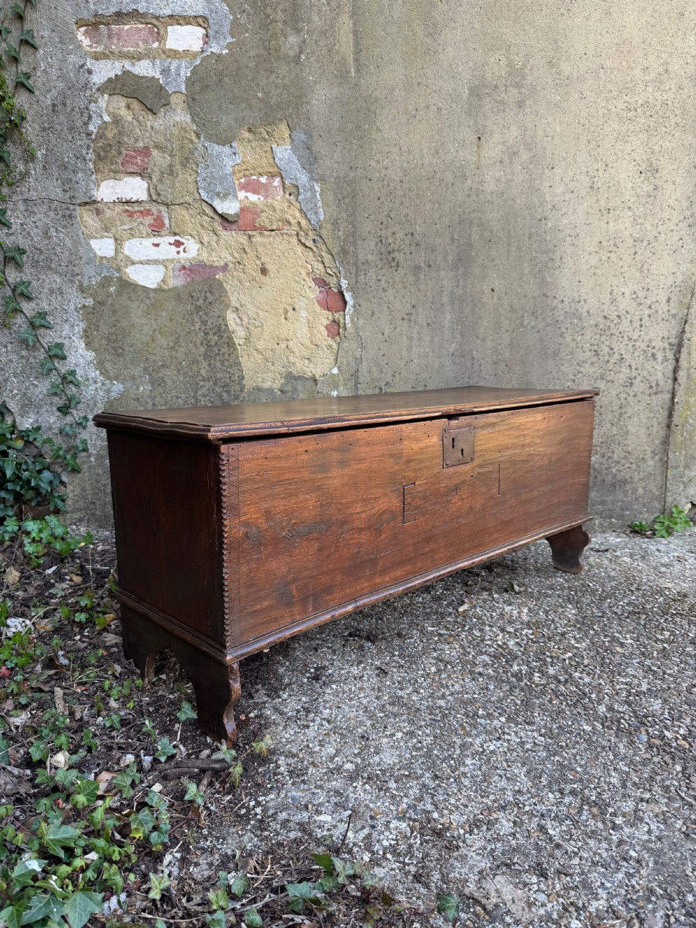 Antique Elm Plank Coffer View XXIV