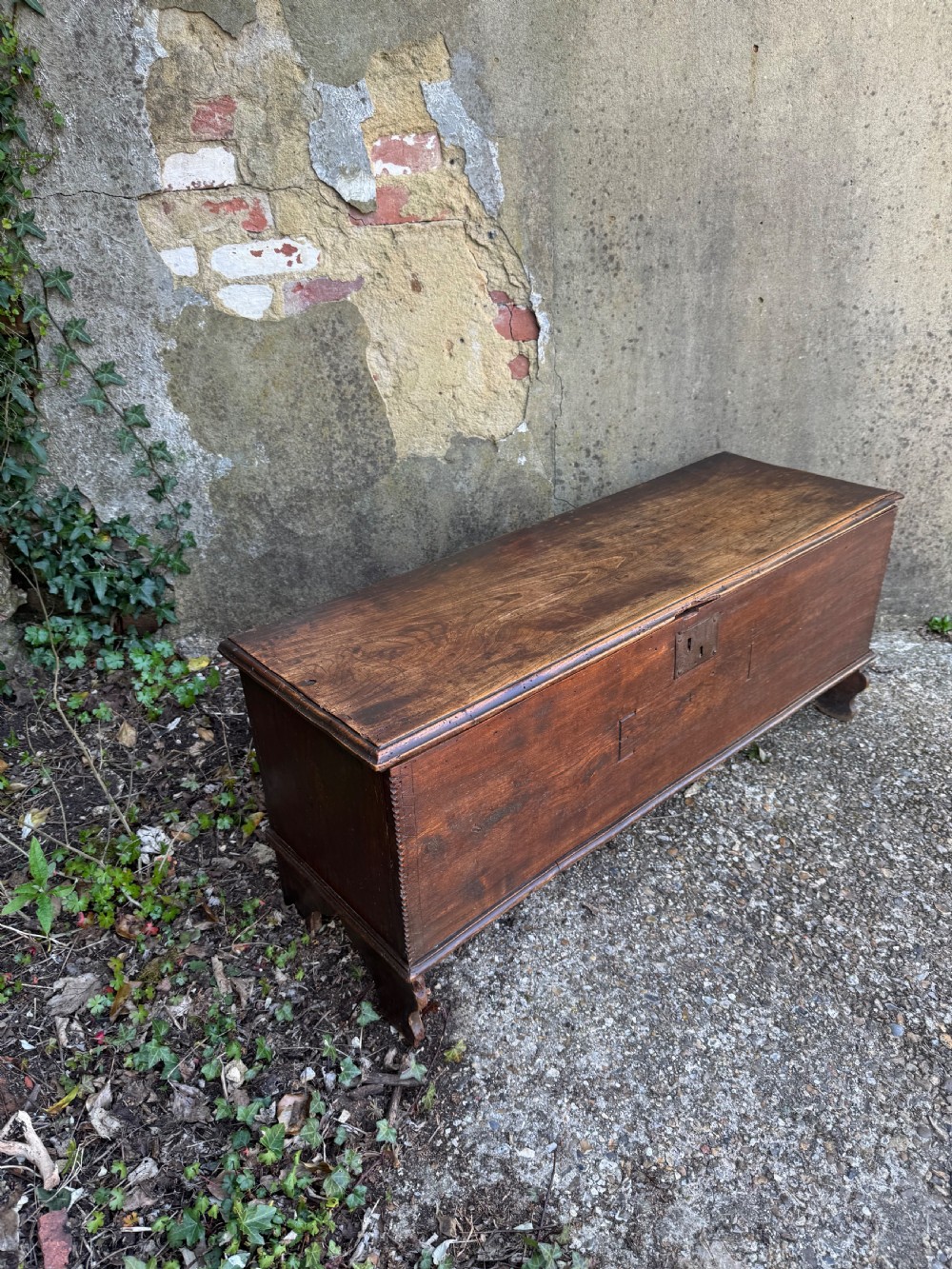 Antique Elm Plank Coffer View XXVI