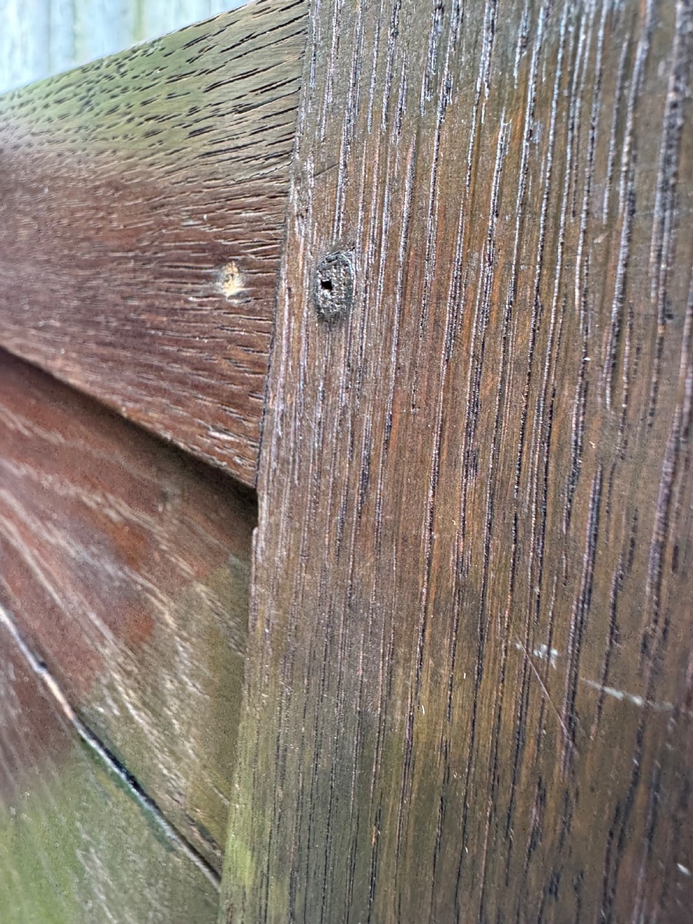 Early Oak Spice Cupboard  View XII