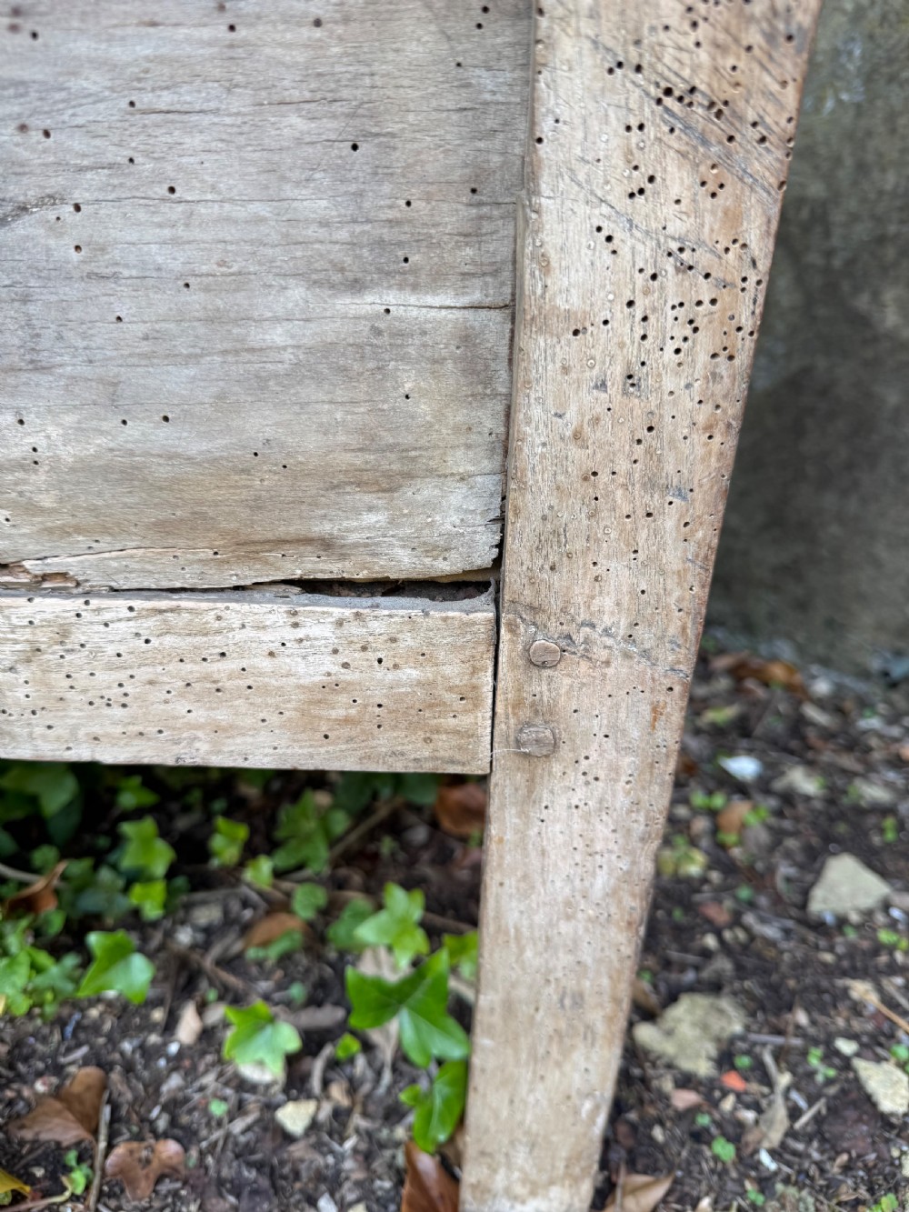 Early Elm Armchair View XVI