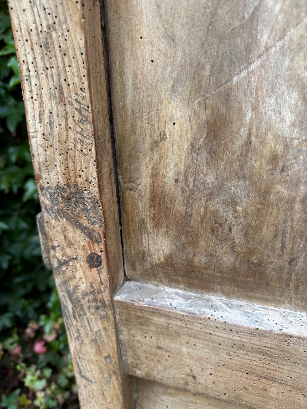 Early Elm Armchair View XVII