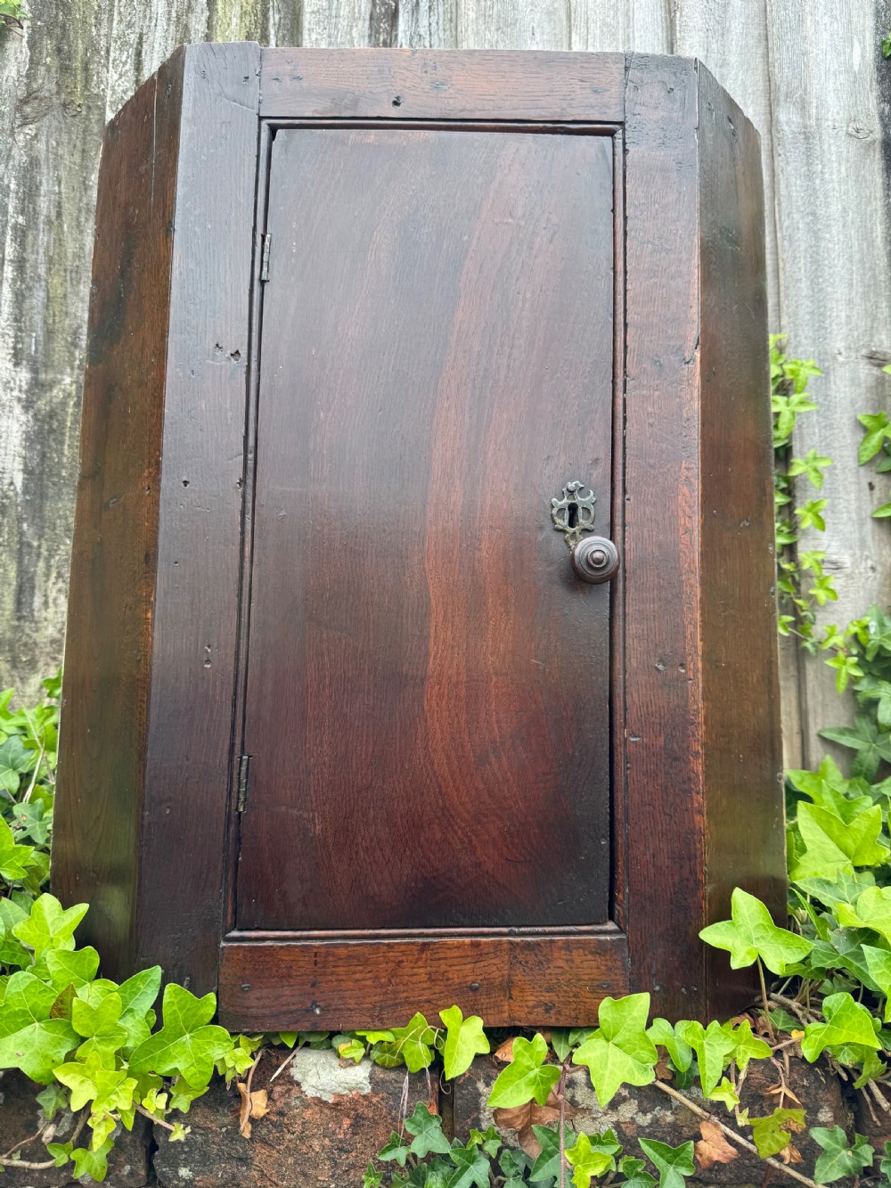An antique dark oak provincial cupboard featuring canted sides, a single panelled door, a wooden knob, and an iron keyhole escutcheon. View II