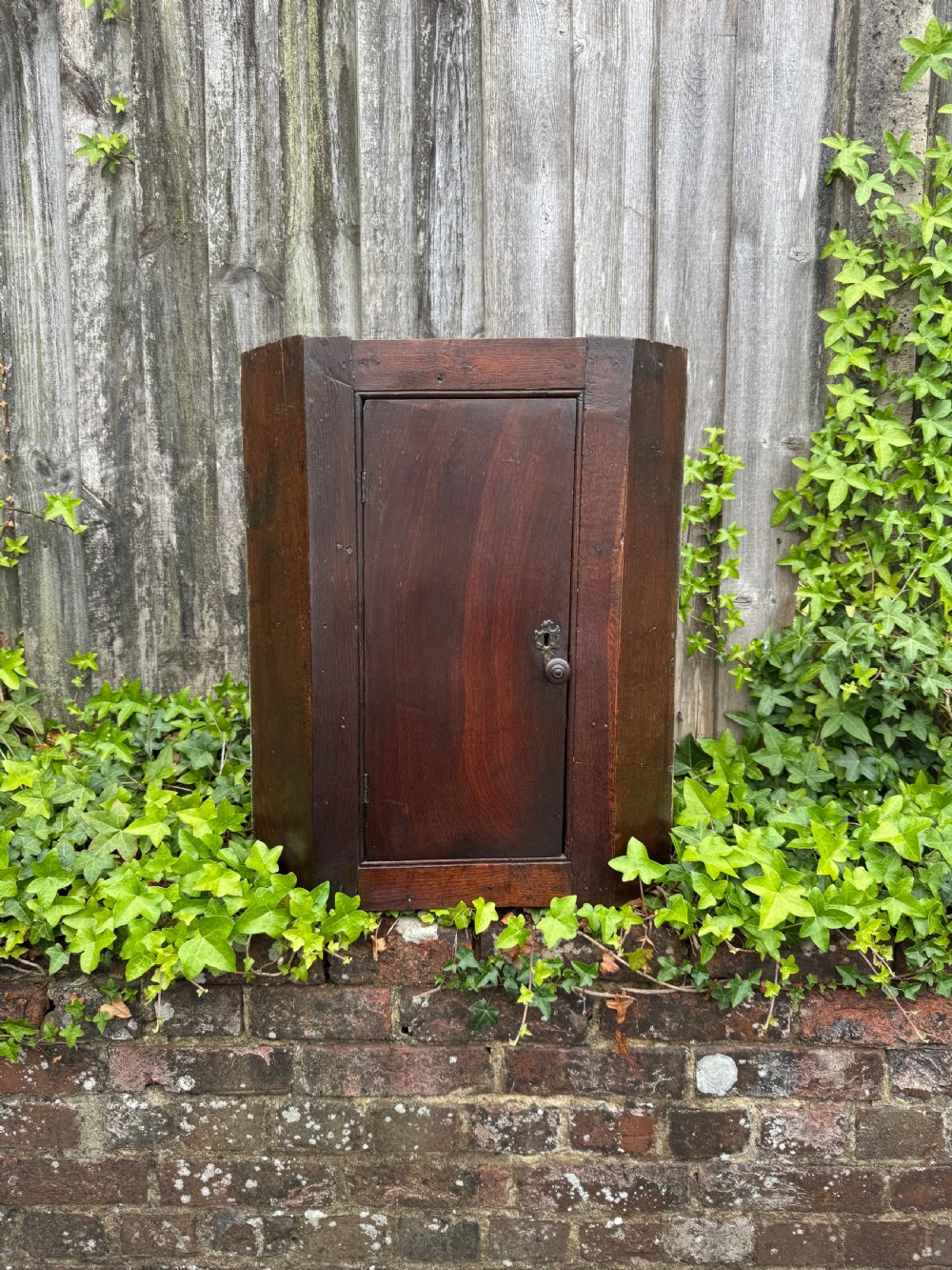 An antique dark oak provincial cupboard featuring canted sides, a single panelled door, a wooden knob, and an iron keyhole escutcheon. View III
