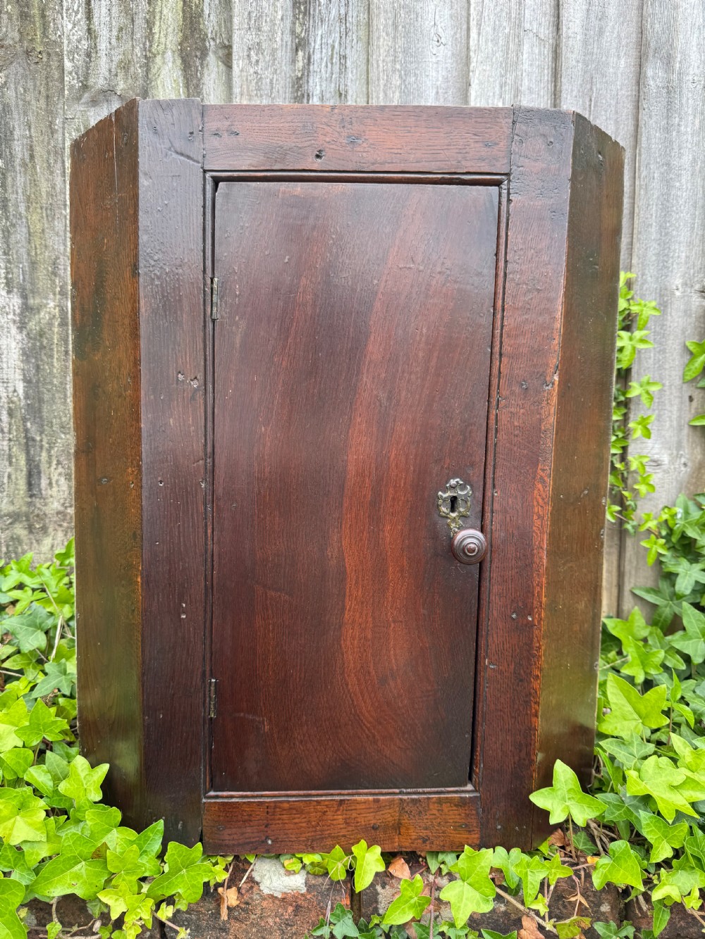 An antique dark oak provincial cupboard featuring canted sides, a single panelled door, a wooden knob, and an iron keyhole escutcheon. View VI