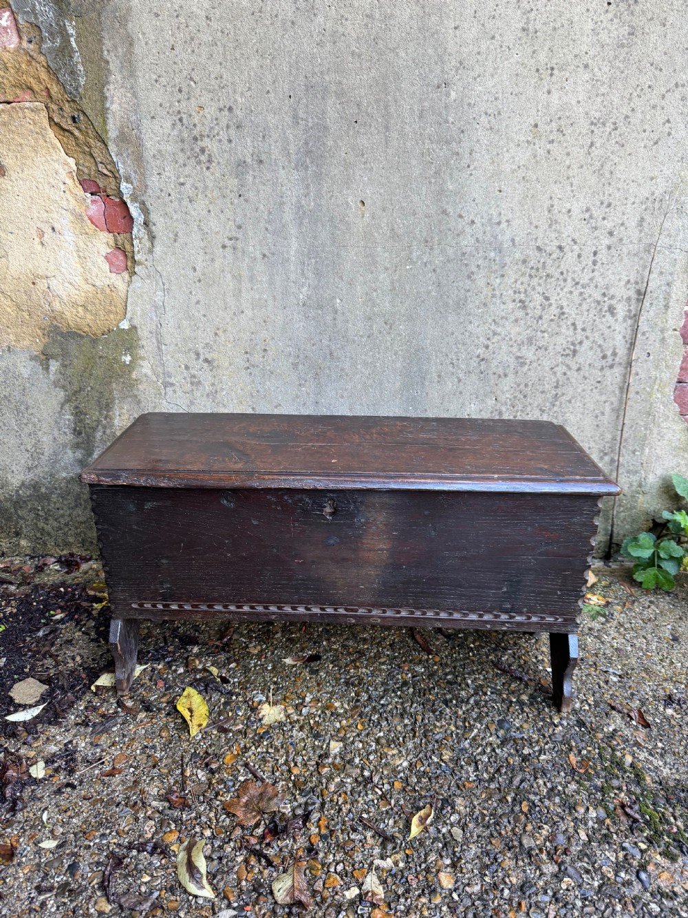 Early Oak Coffer View V