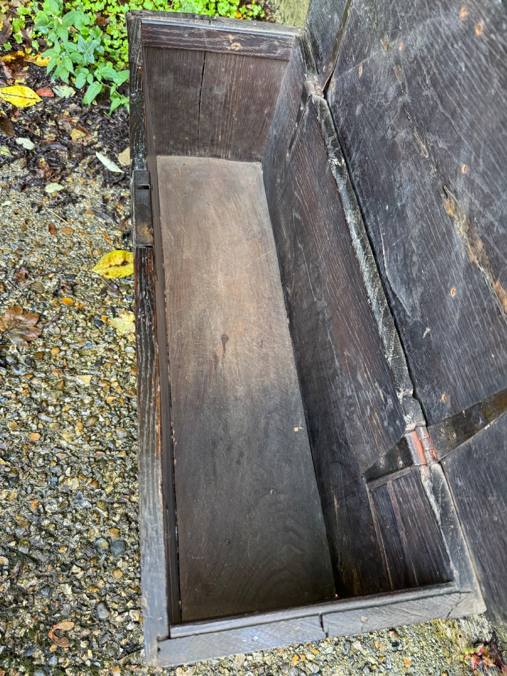 Early Oak Coffer View IX