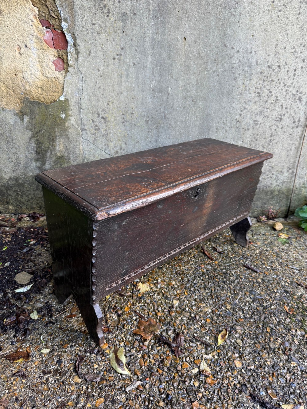 Early Oak Coffer View X