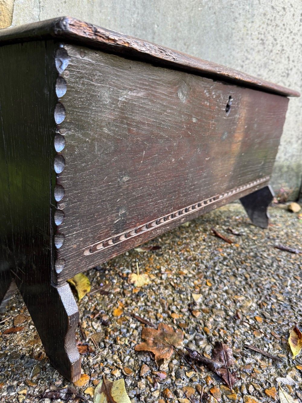 Early Oak Coffer View XI