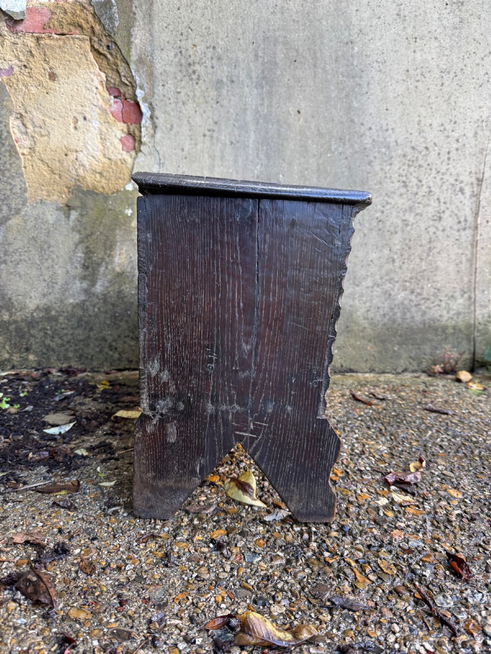 Early Oak Coffer View XVI