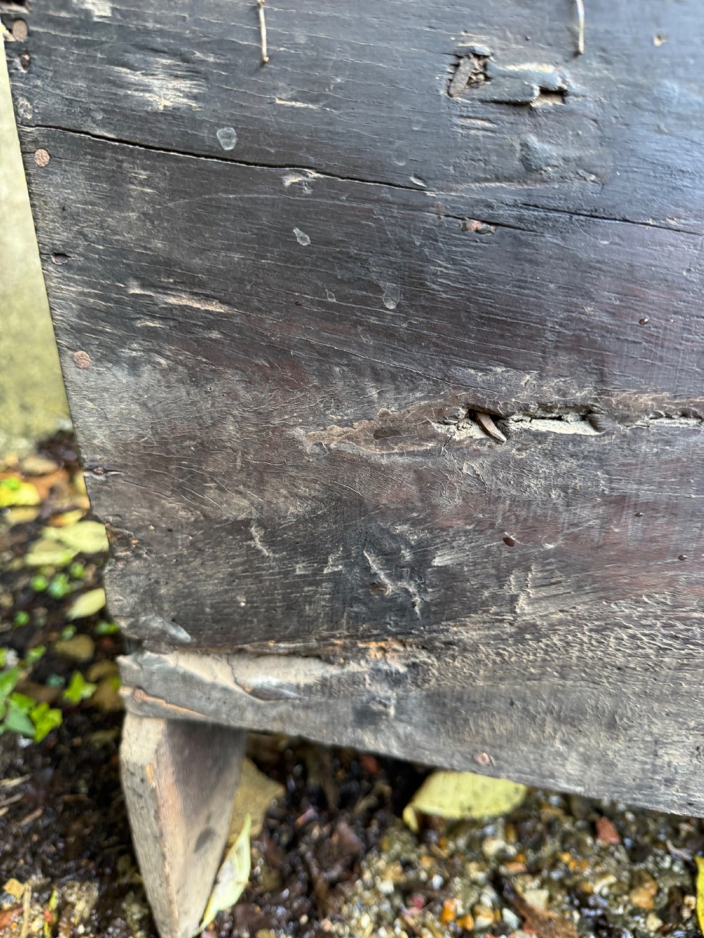 Early Oak Coffer View XIX