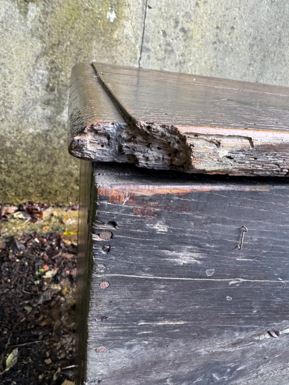 Early Oak Coffer View XX