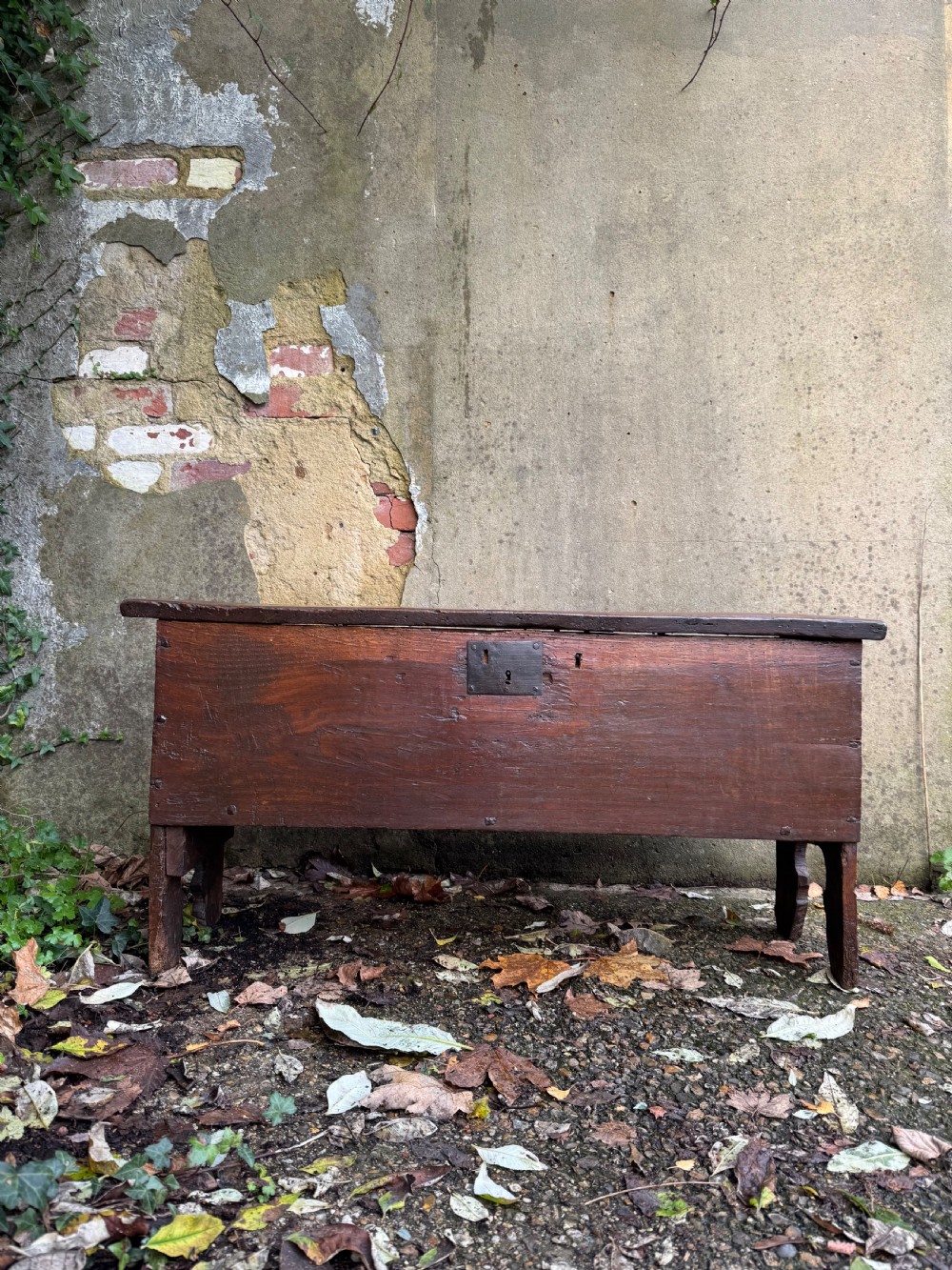 Early Oak Coffer View II