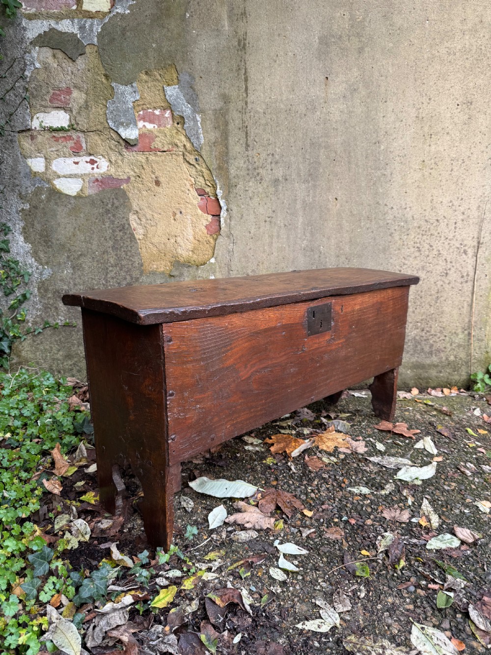 Early Oak Coffer View IV