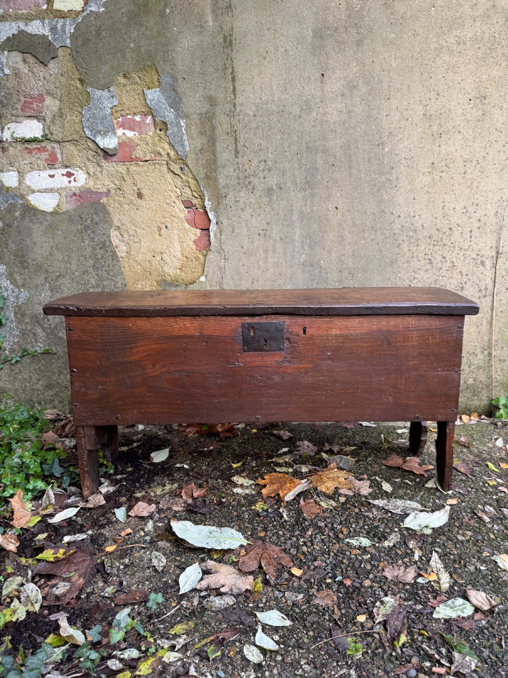 Early Oak Coffer View V