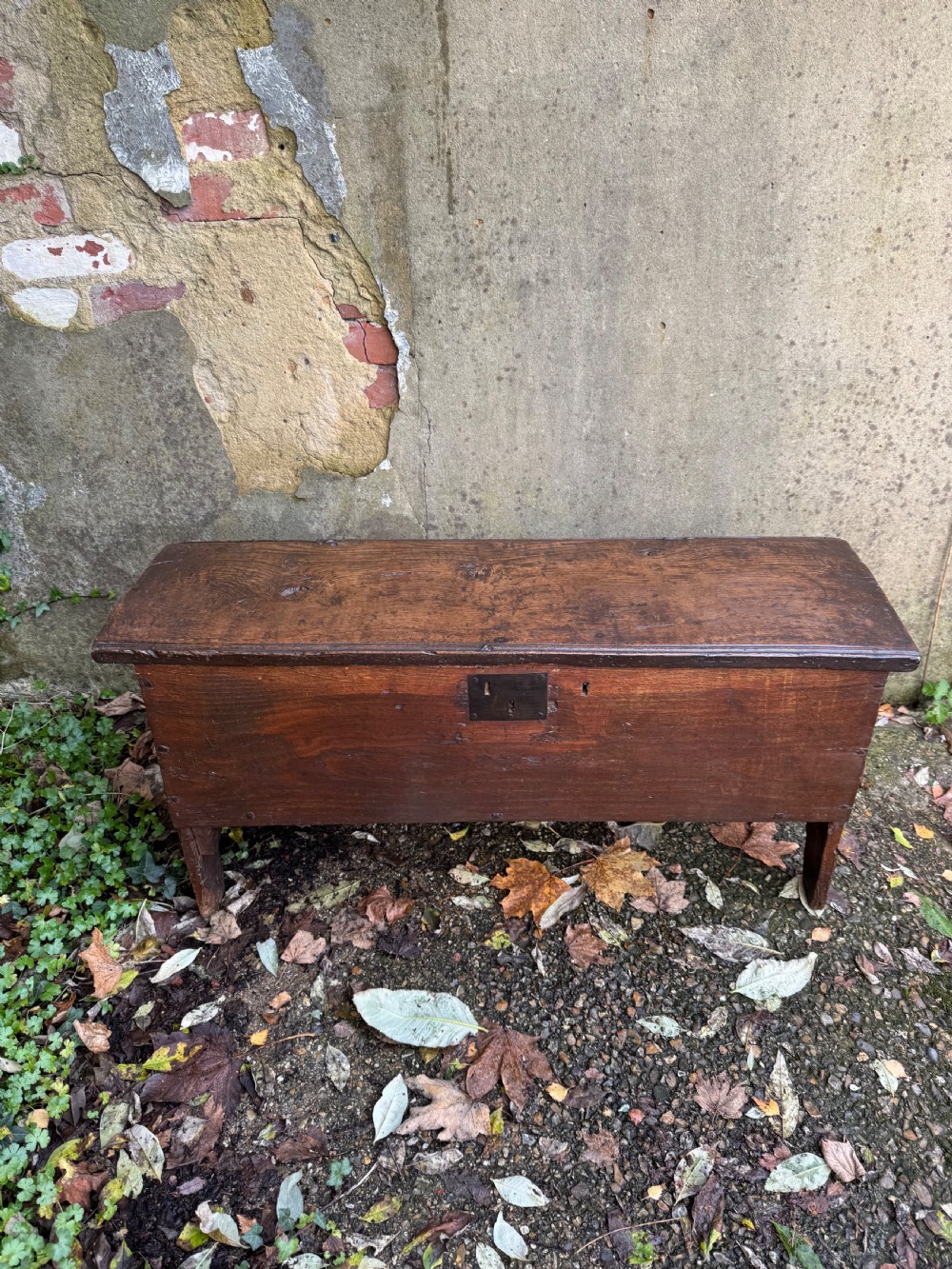 Early Oak Coffer View VII