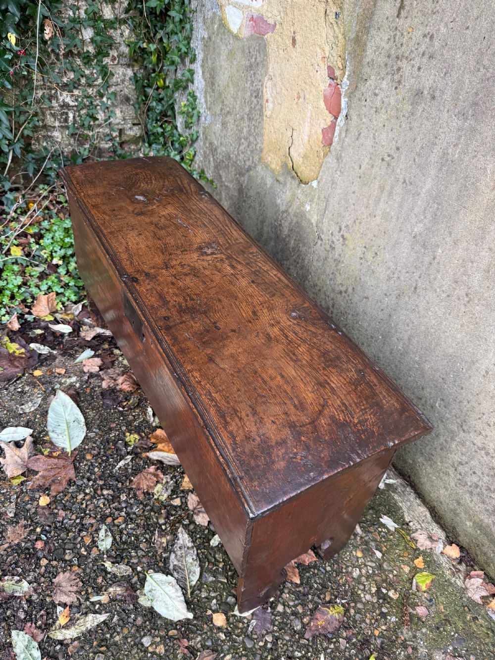 Early Oak Coffer View VIII
