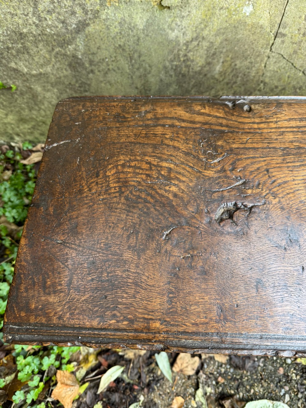 Early Oak Coffer View X