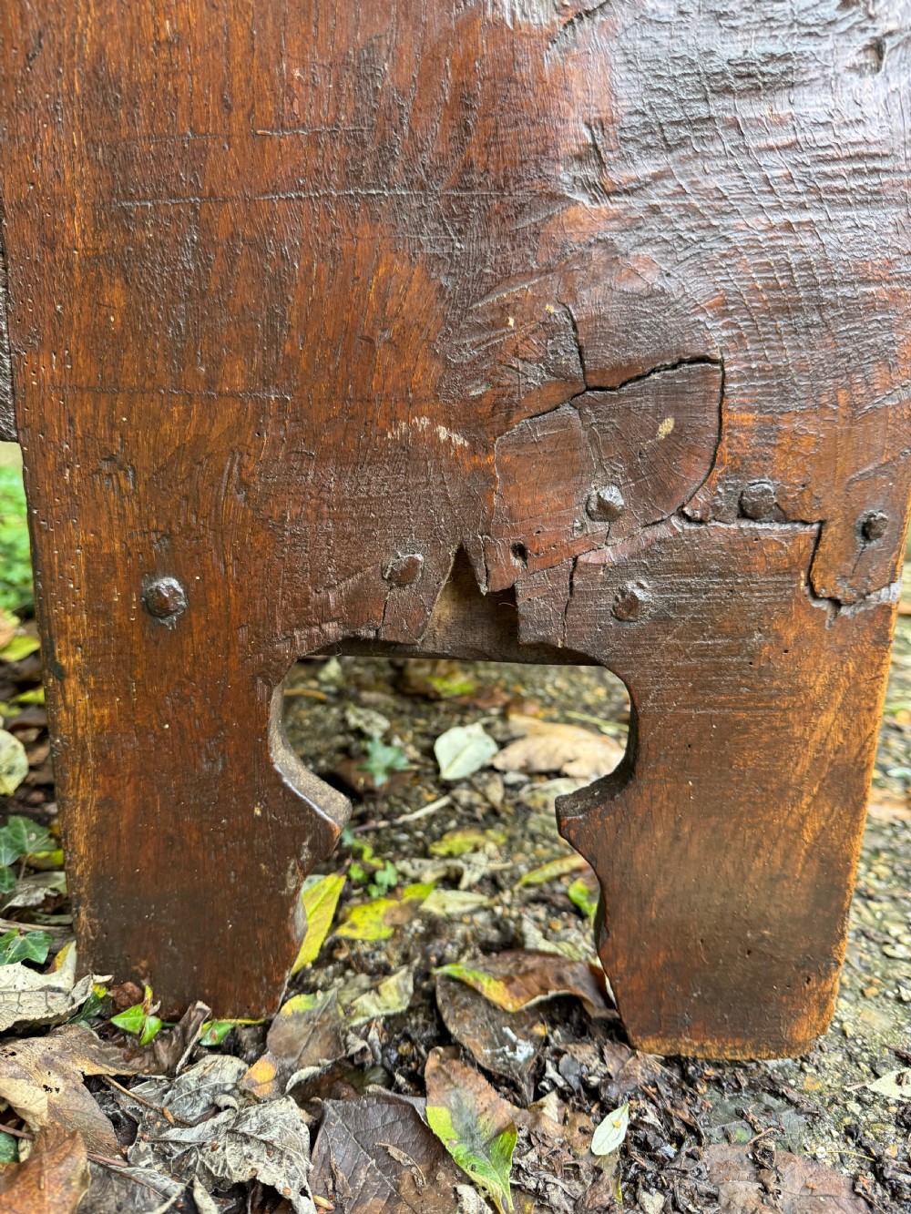 Early Oak Coffer View XVIII