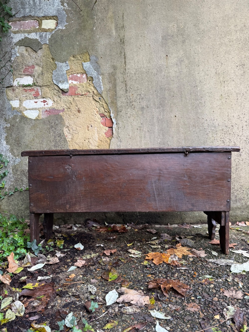 Early Oak Coffer View XIX