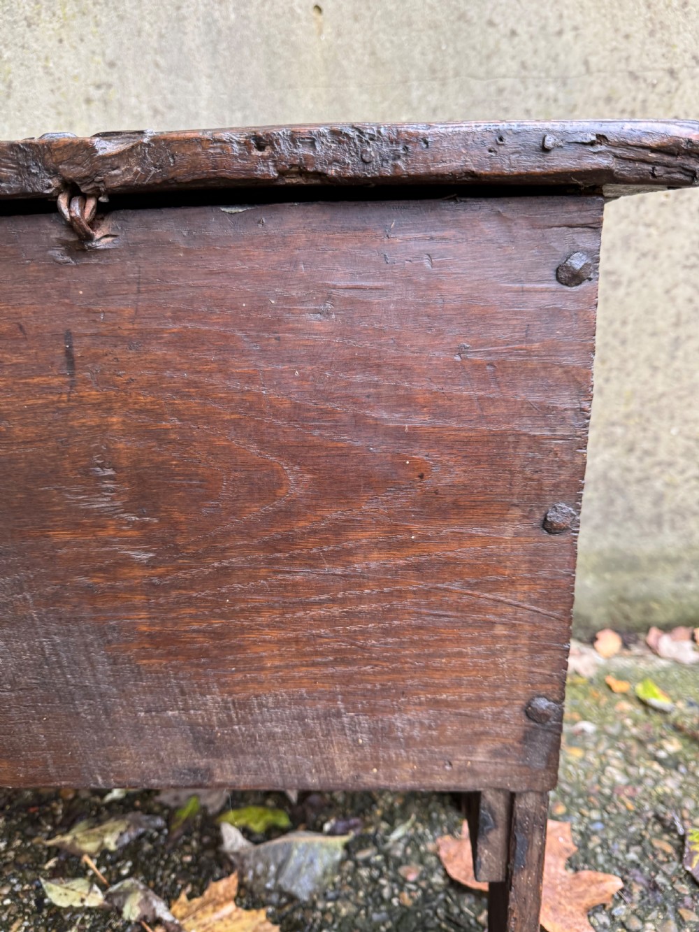 Early Oak Coffer View XX