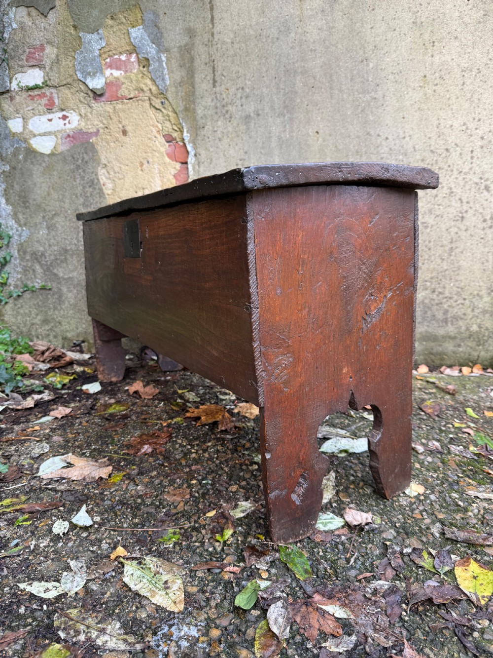 Early Oak Coffer View XXIII