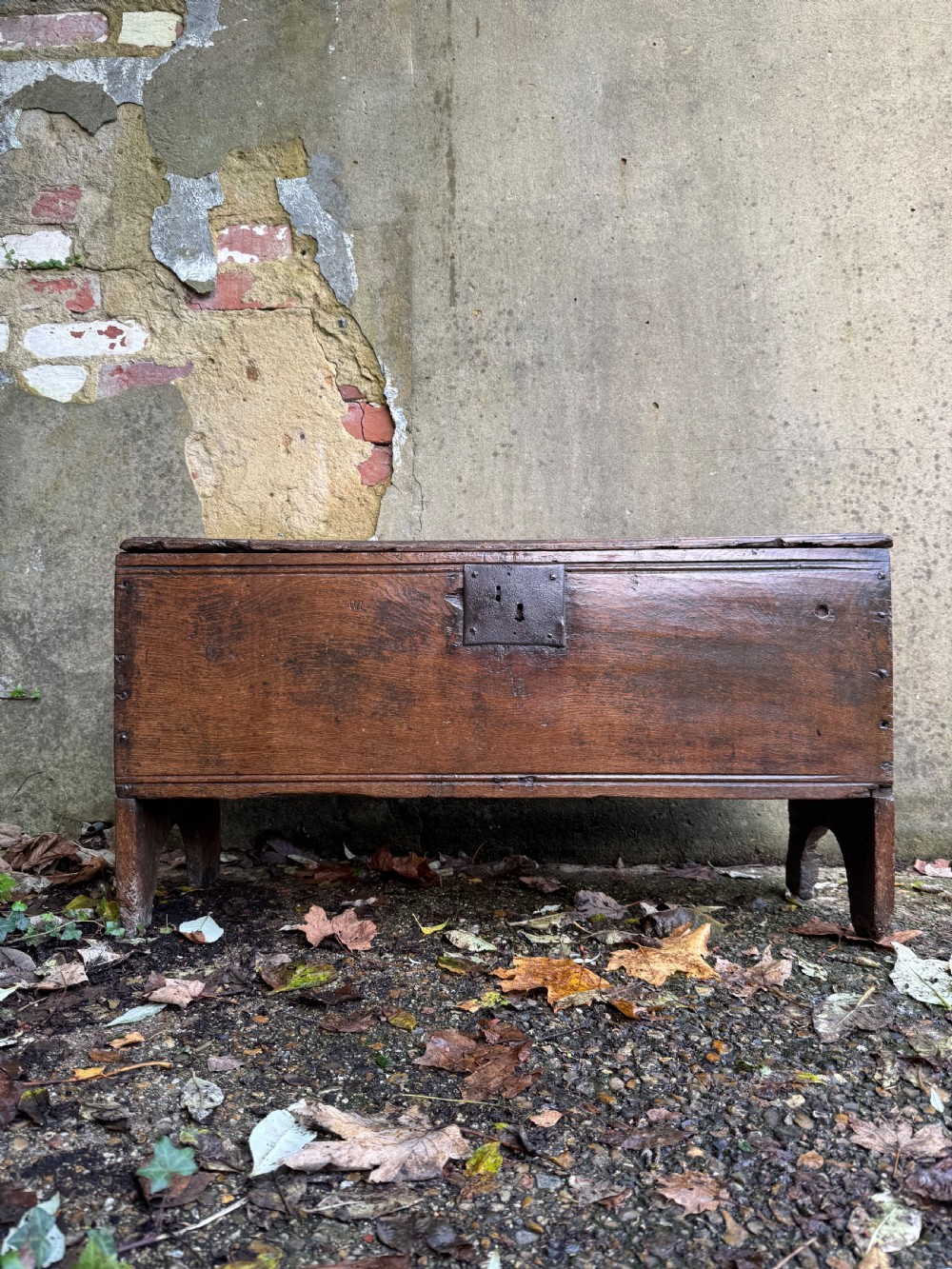 Early Oak Coffer View II
