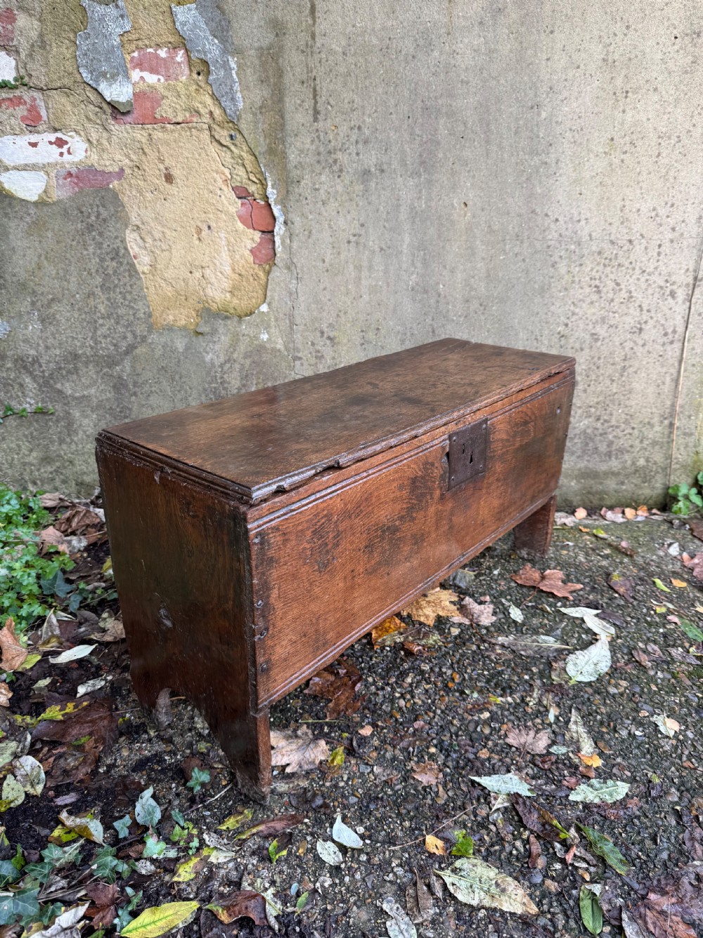 Early Oak Coffer View III