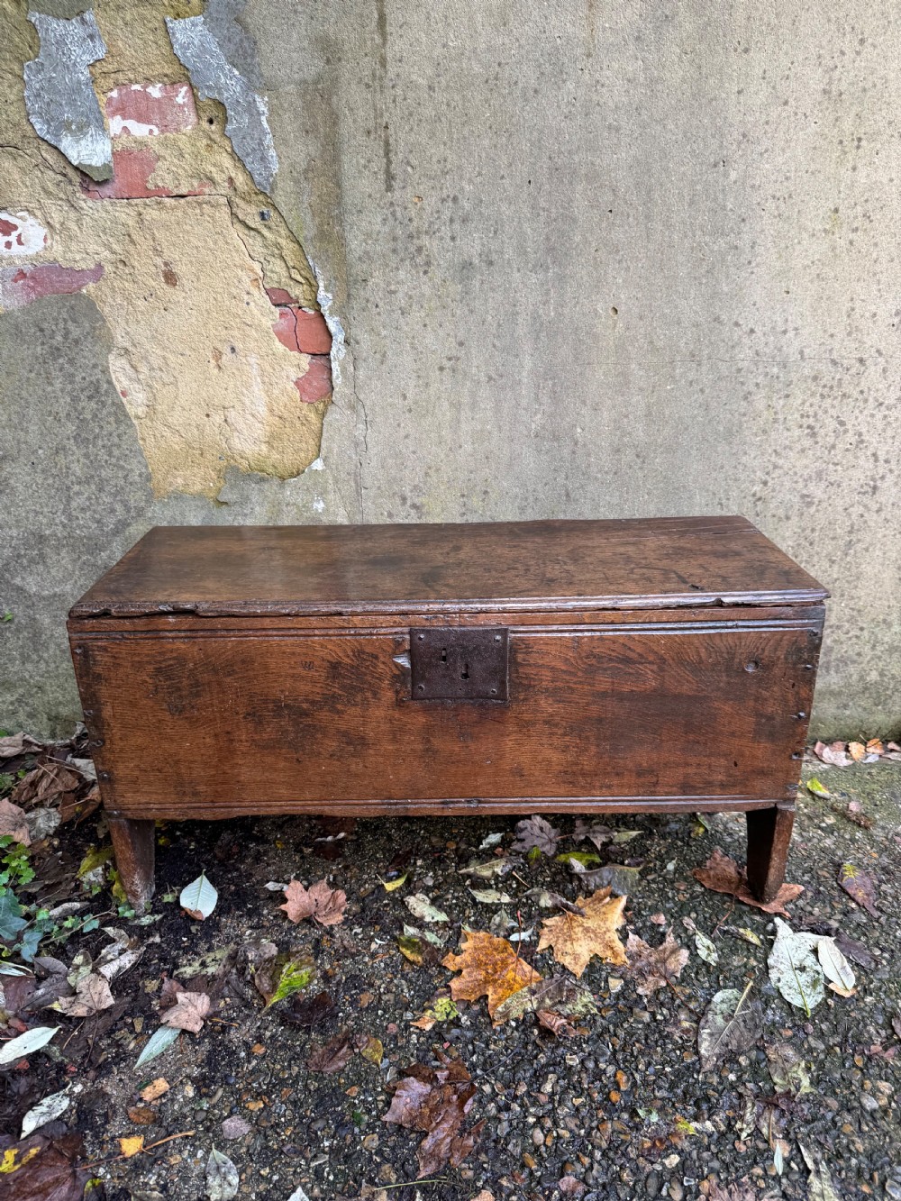 Early Oak Coffer View IV