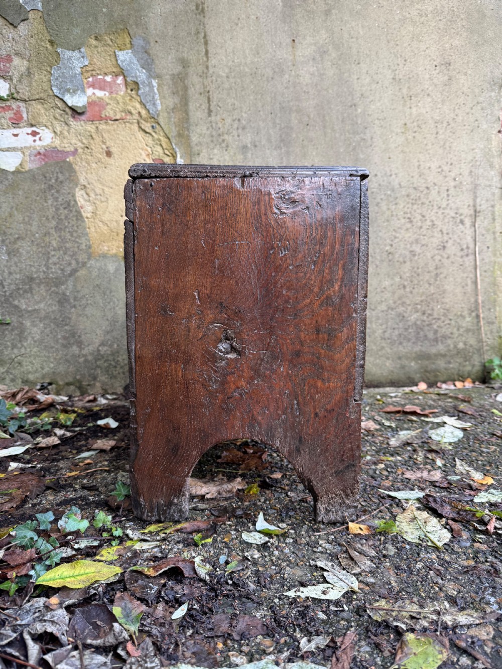 Early Oak Coffer View V