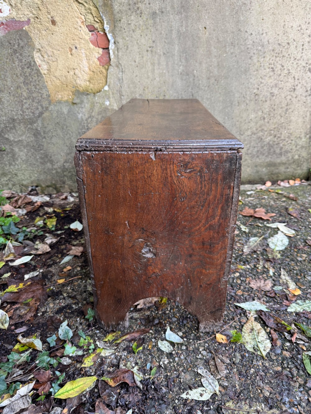 Early Oak Coffer View VI