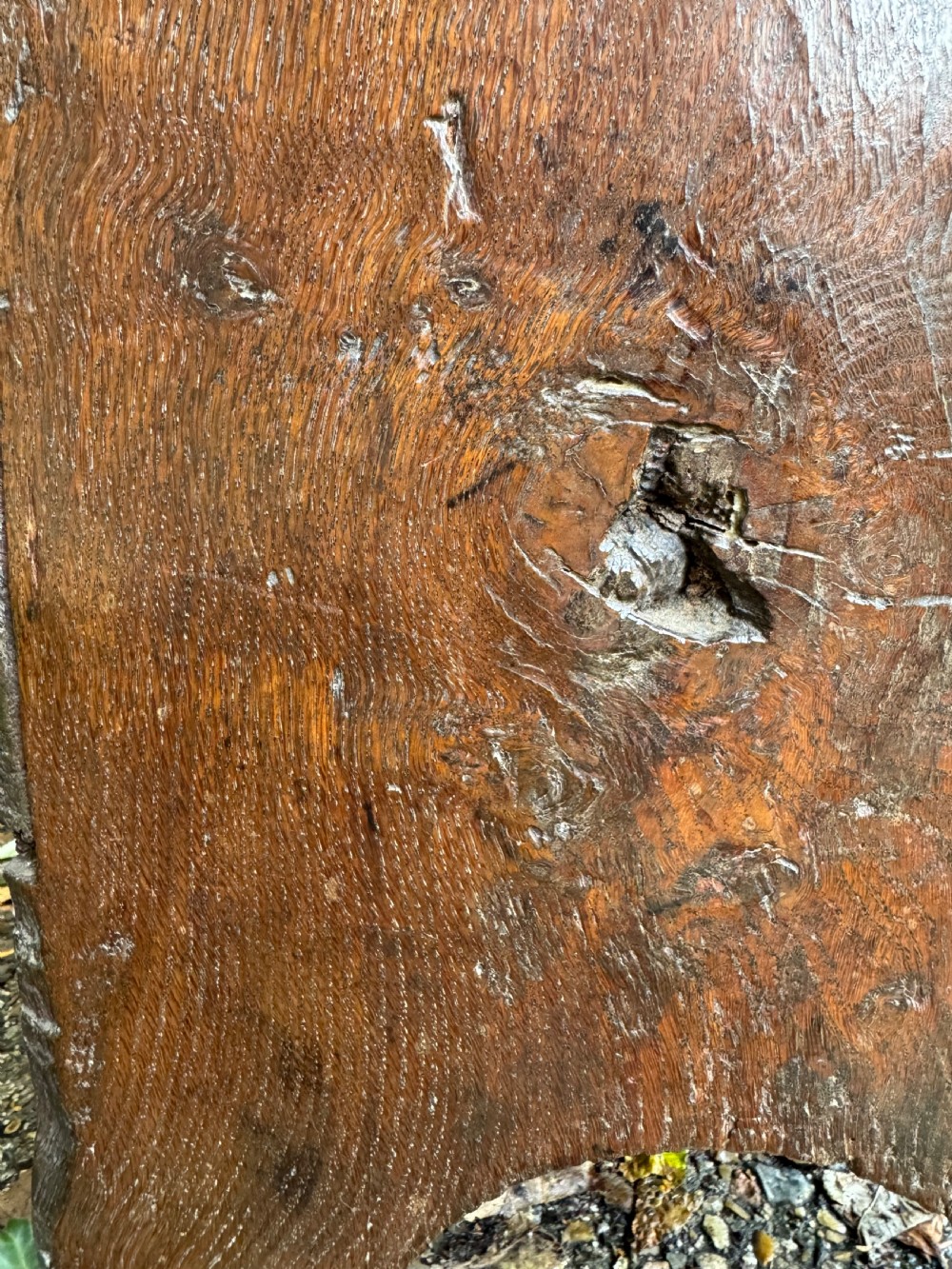 Early Oak Coffer View VII