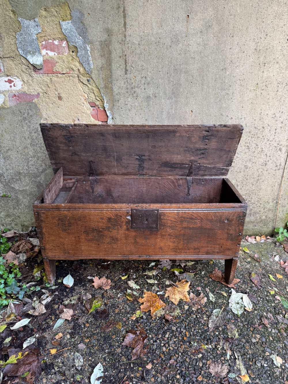 Early Oak Coffer View VIII