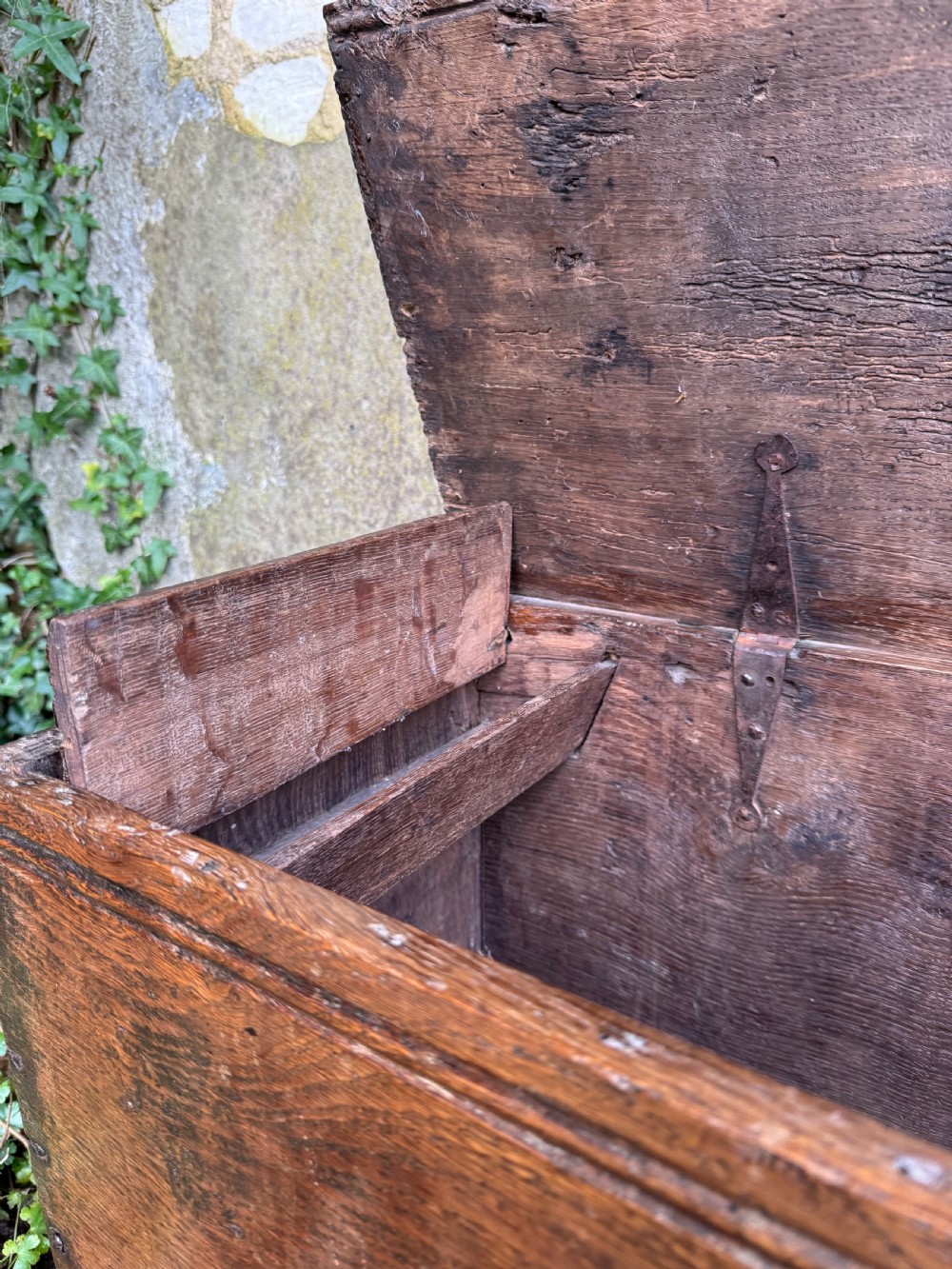 Early Oak Coffer View IX