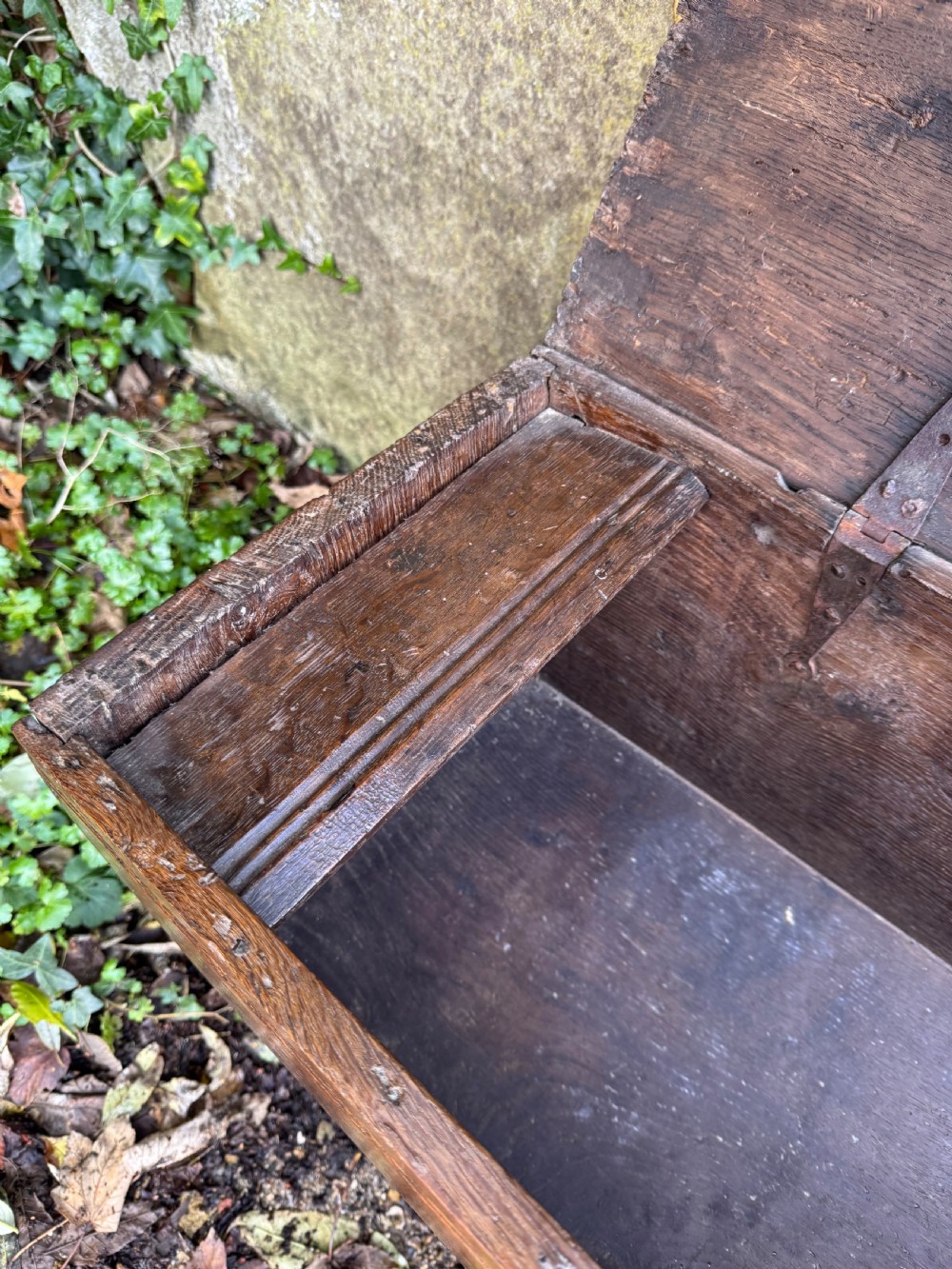 Early Oak Coffer View XII