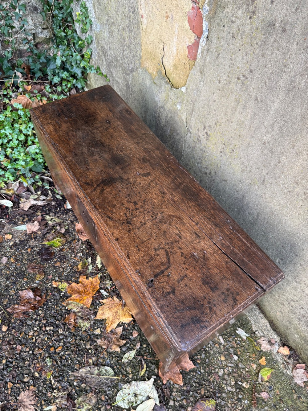 Early Oak Coffer View XIII