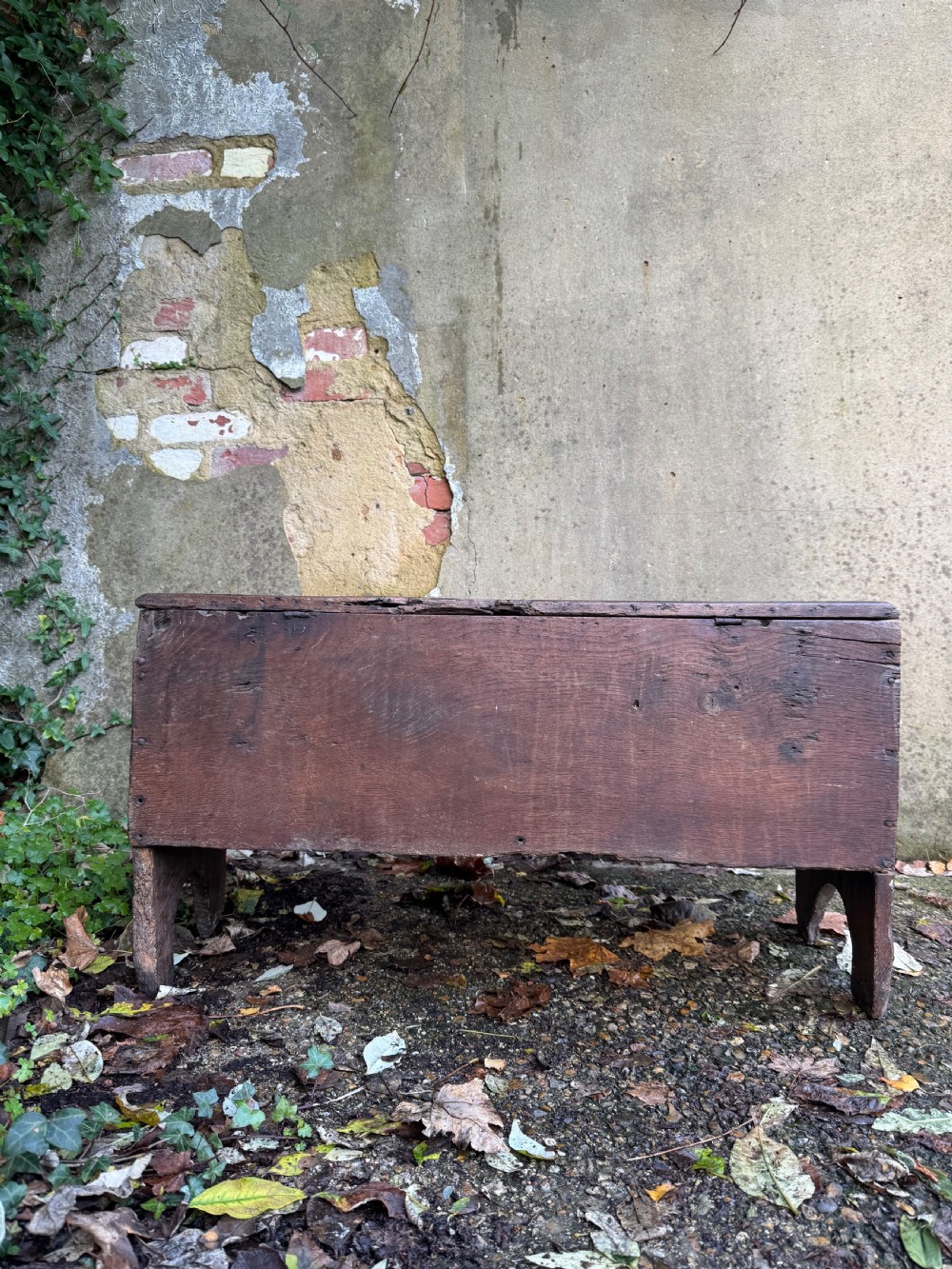 Early Oak Coffer View XV