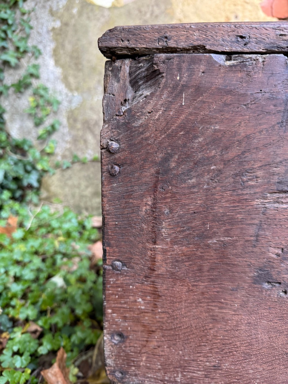 Early Oak Coffer View XVI