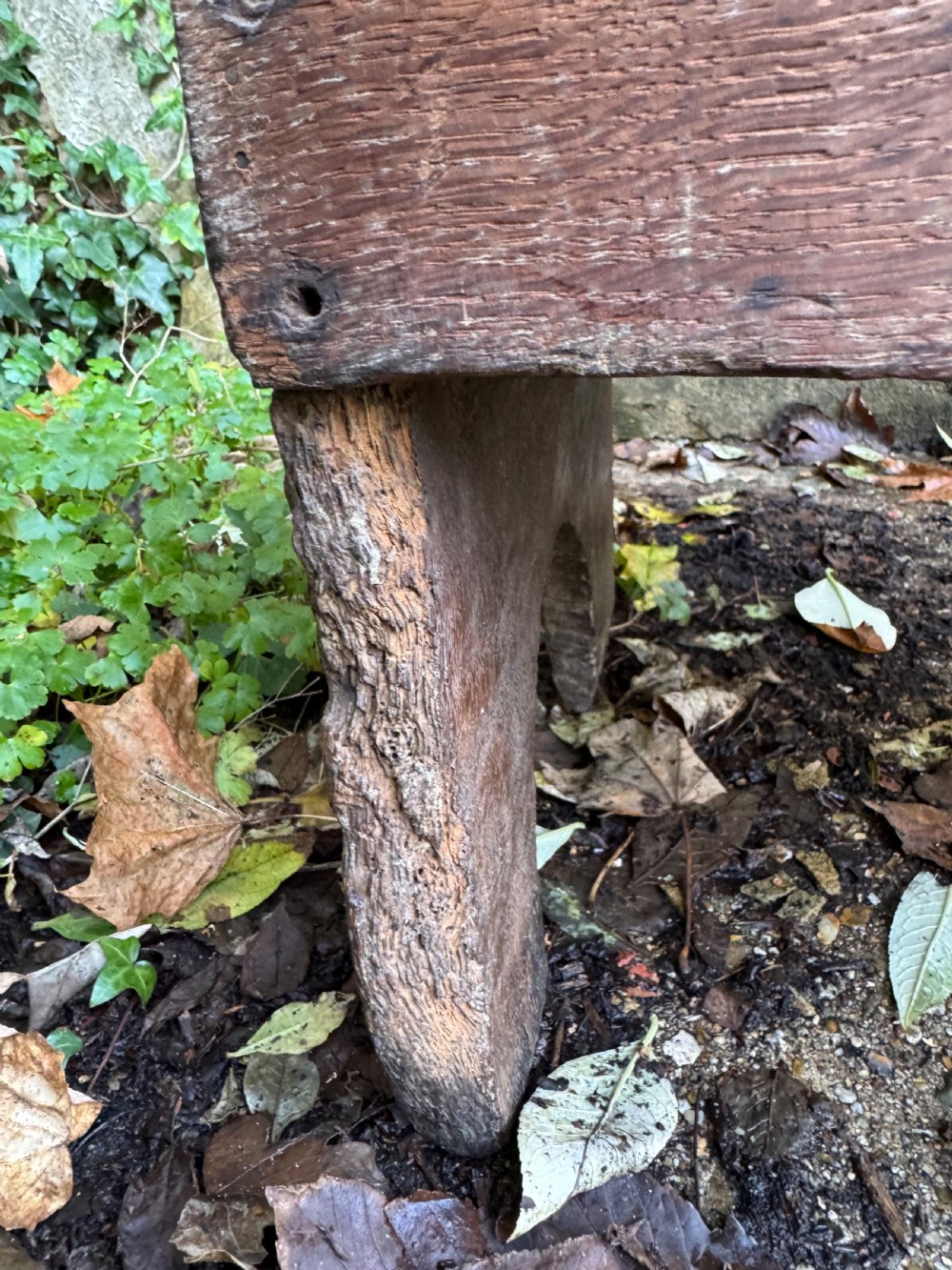 Early Oak Coffer View XVII