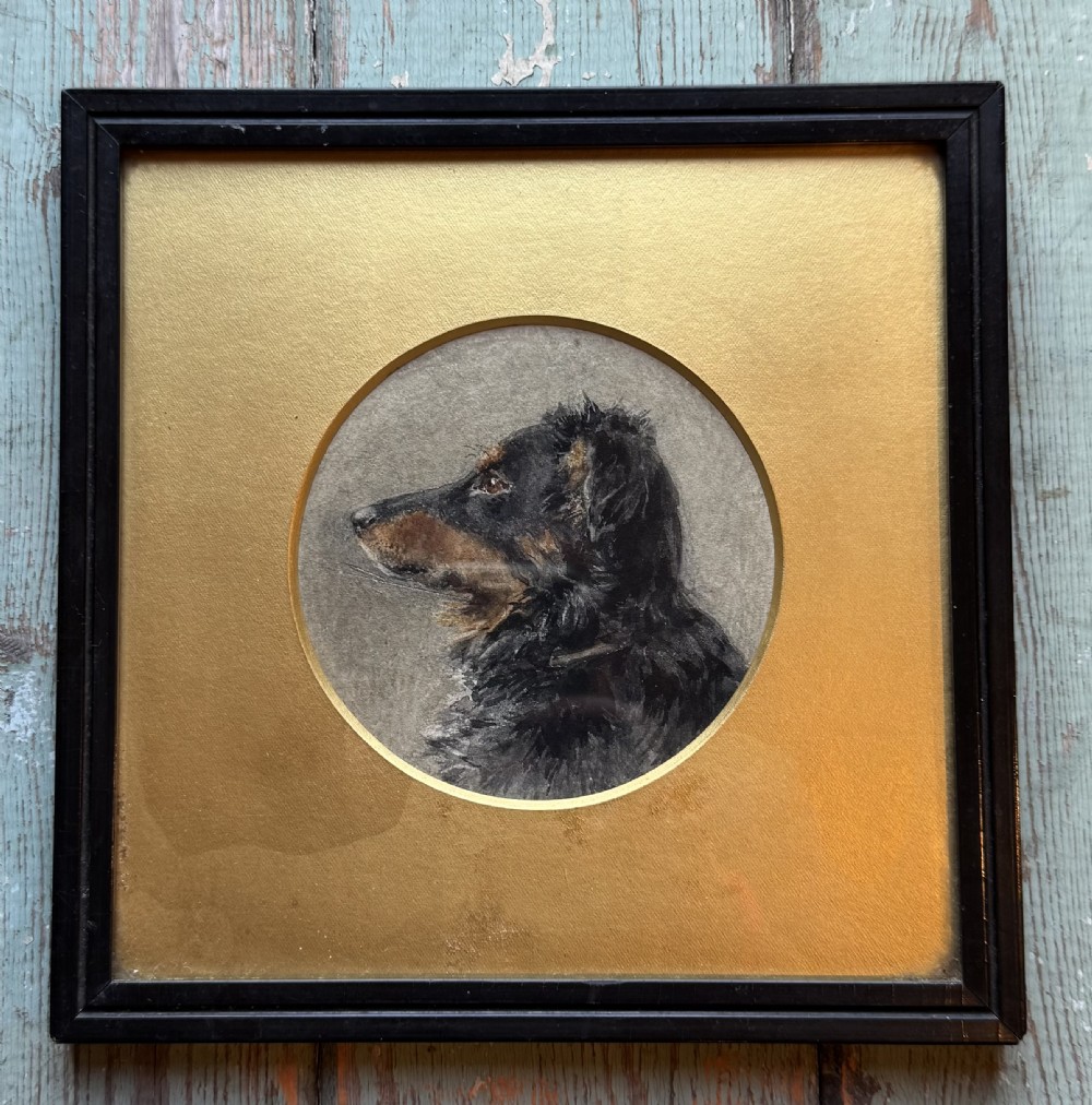 Portrait of a Dog