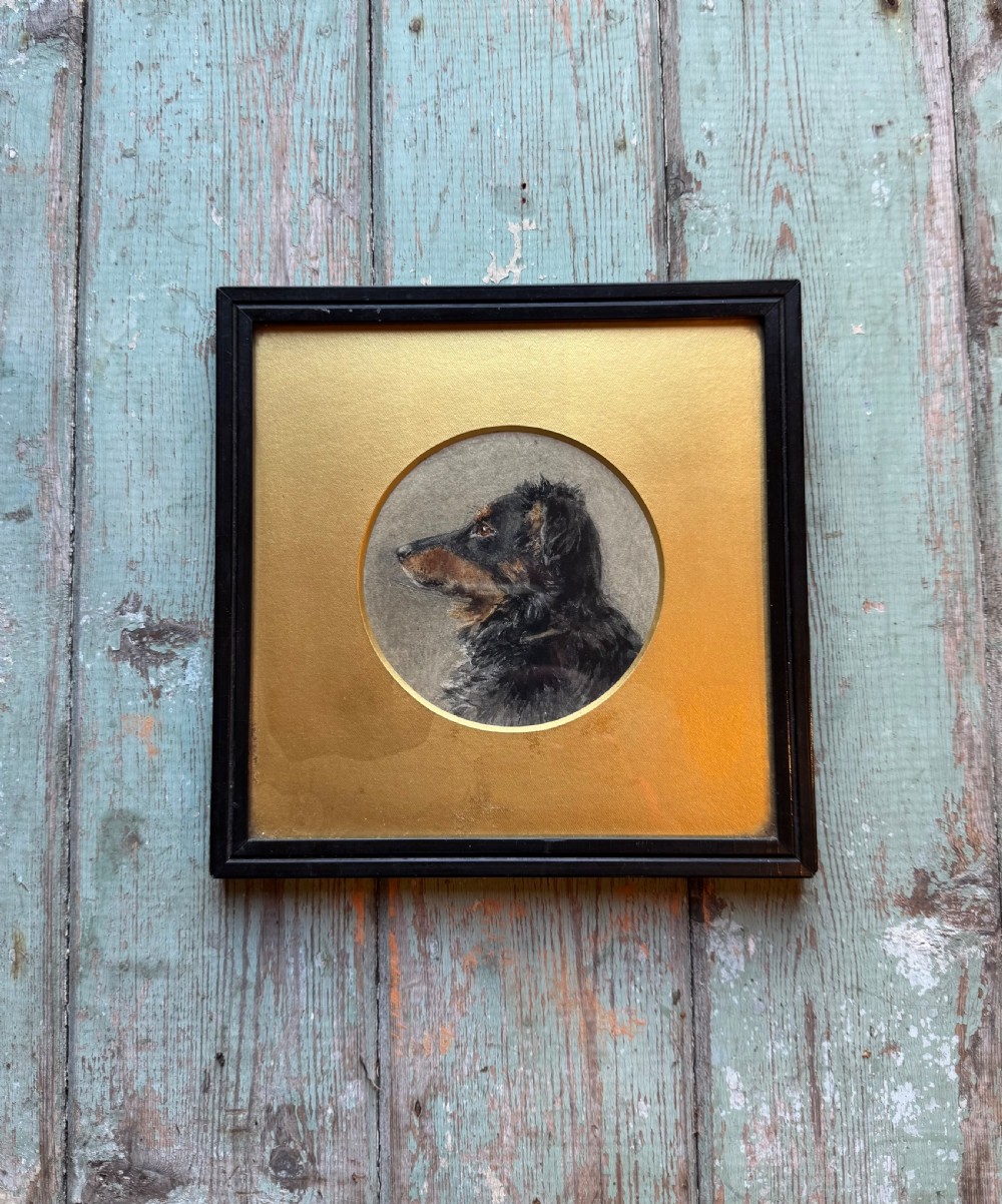 Portrait of a Dog View II