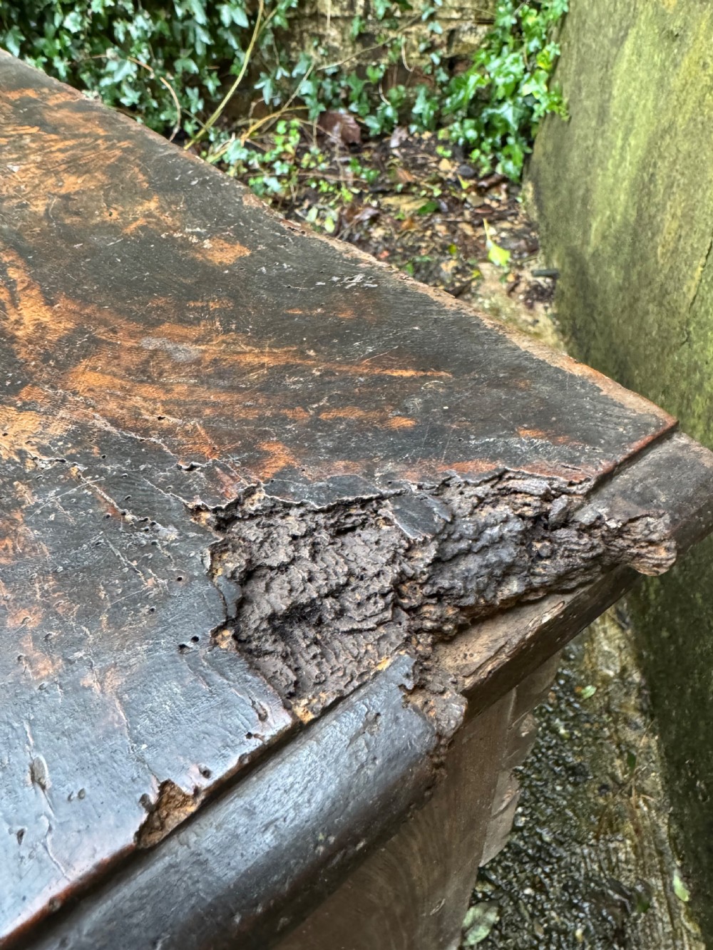 Early Elm Plank Coffer  View XII